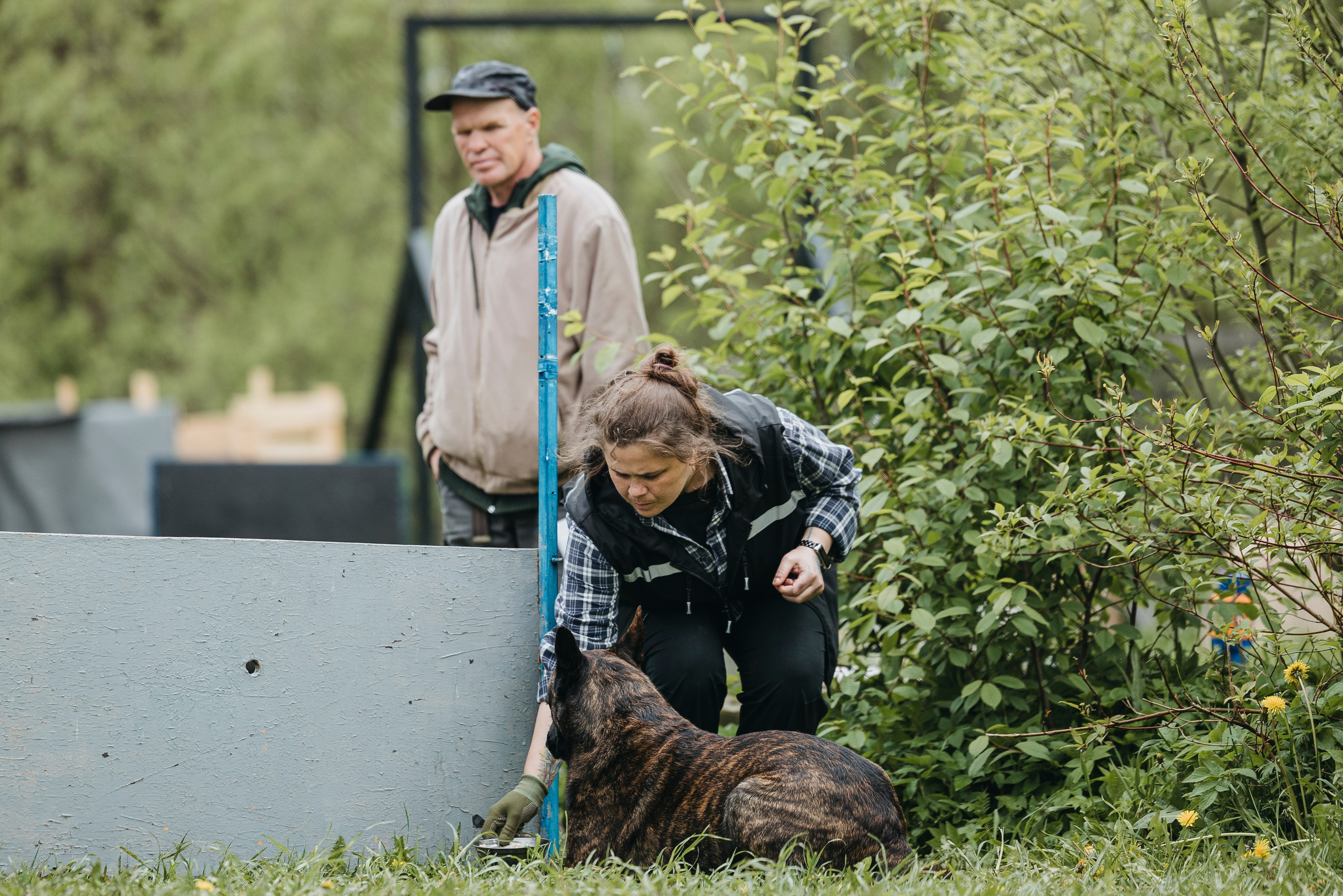 26.05.25 г. Пушкин квалификационные соревнования. Фотограф-анималист Анна Маринич