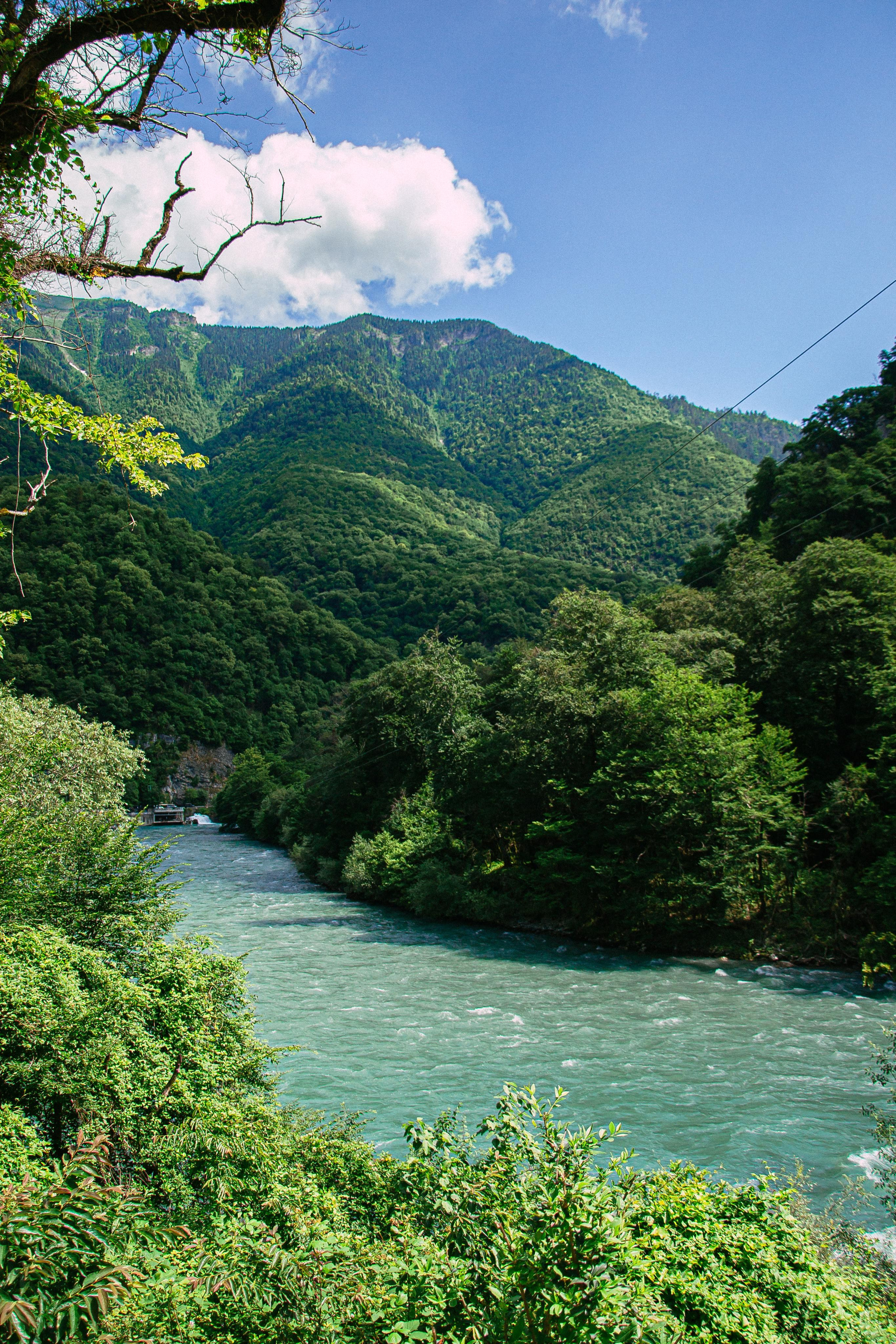 Абхазия 2022. Фотограф в Нижнем Новгороде Yulia_Kuvshinka