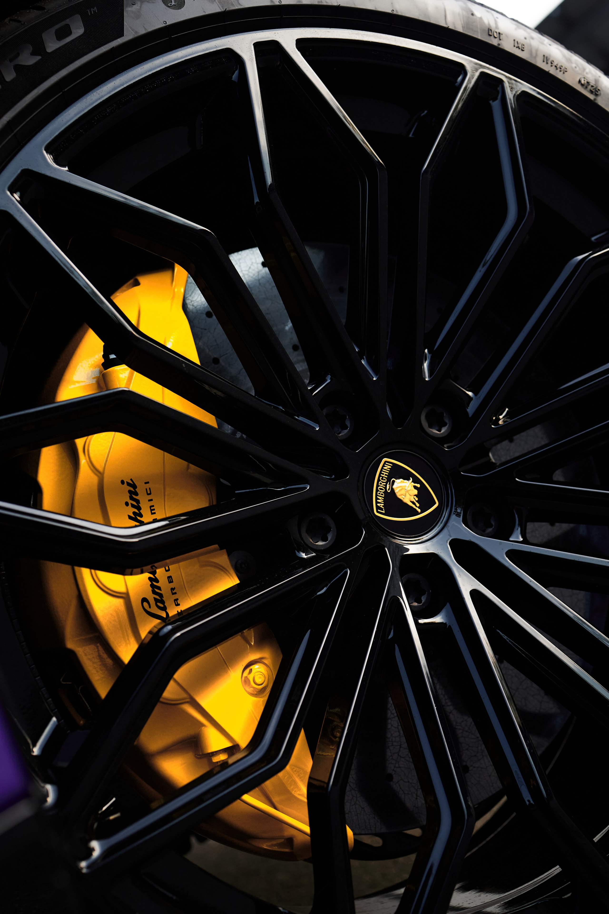 Urus. Фотограф в Москве Струц Влада