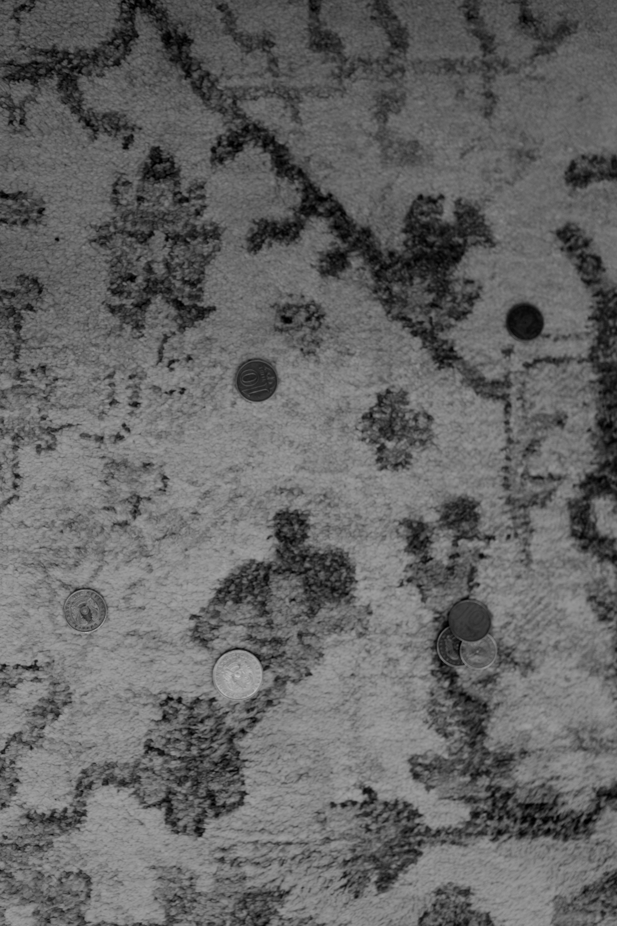 Moldir — syrğa salu. Wedding and Love story Photographer