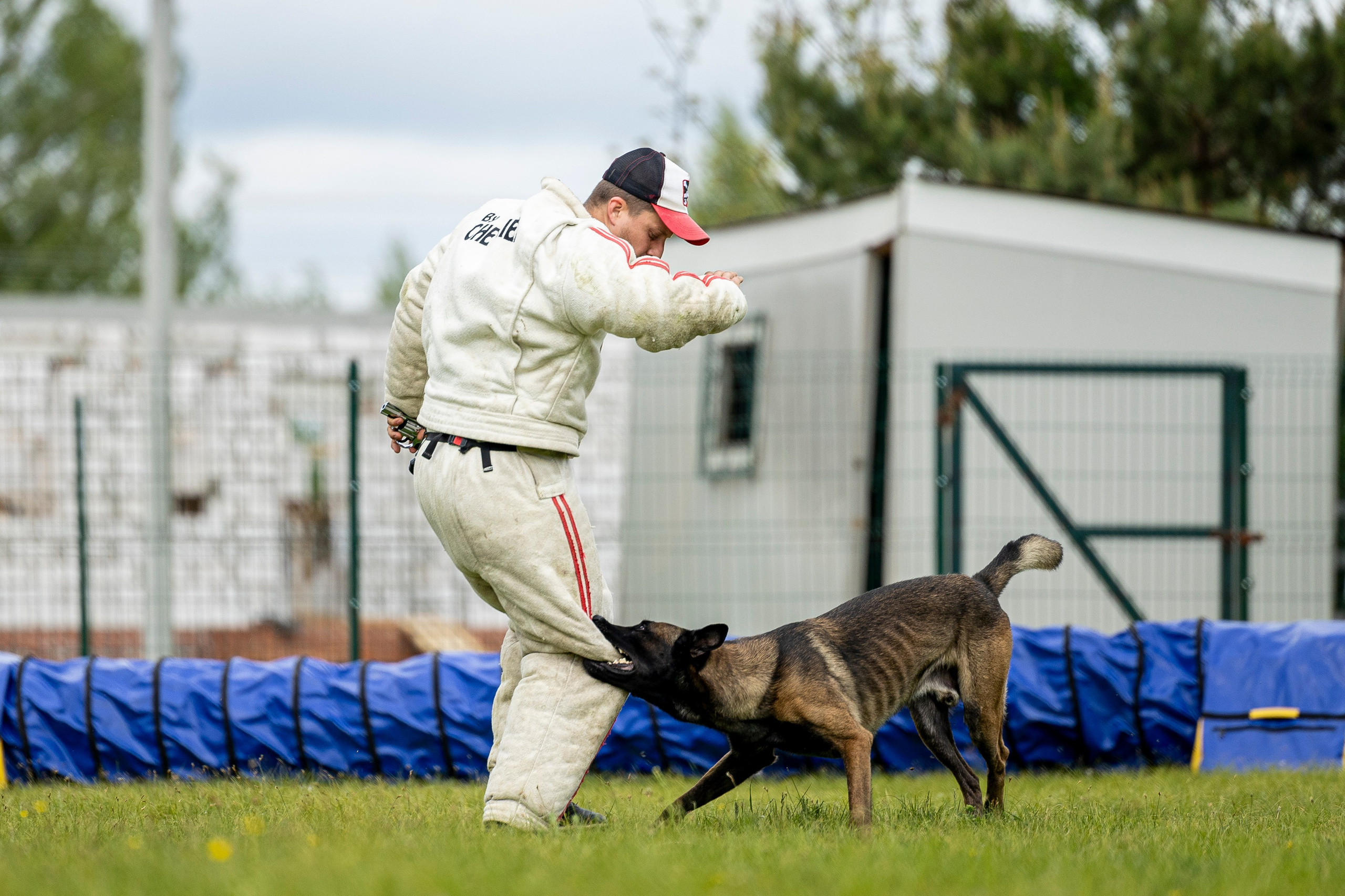 Испытания по мондьорингу в Нижнем Новгороде. Фотограф-анималист Анна Маринич