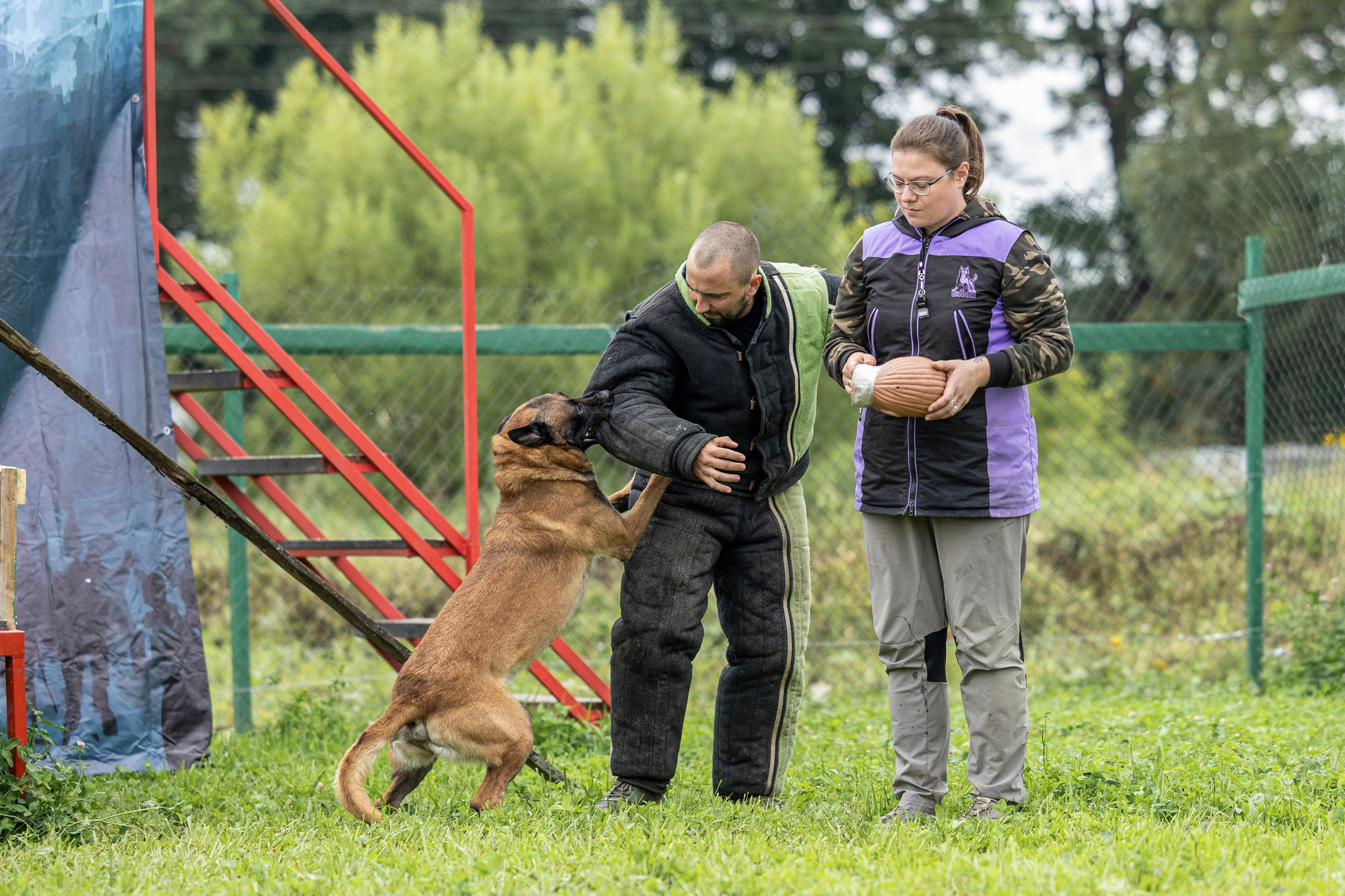 Соревнования по Мондьорингу г. Вологда 10-11.08.2024. Фотограф-анималист Анна Маринич