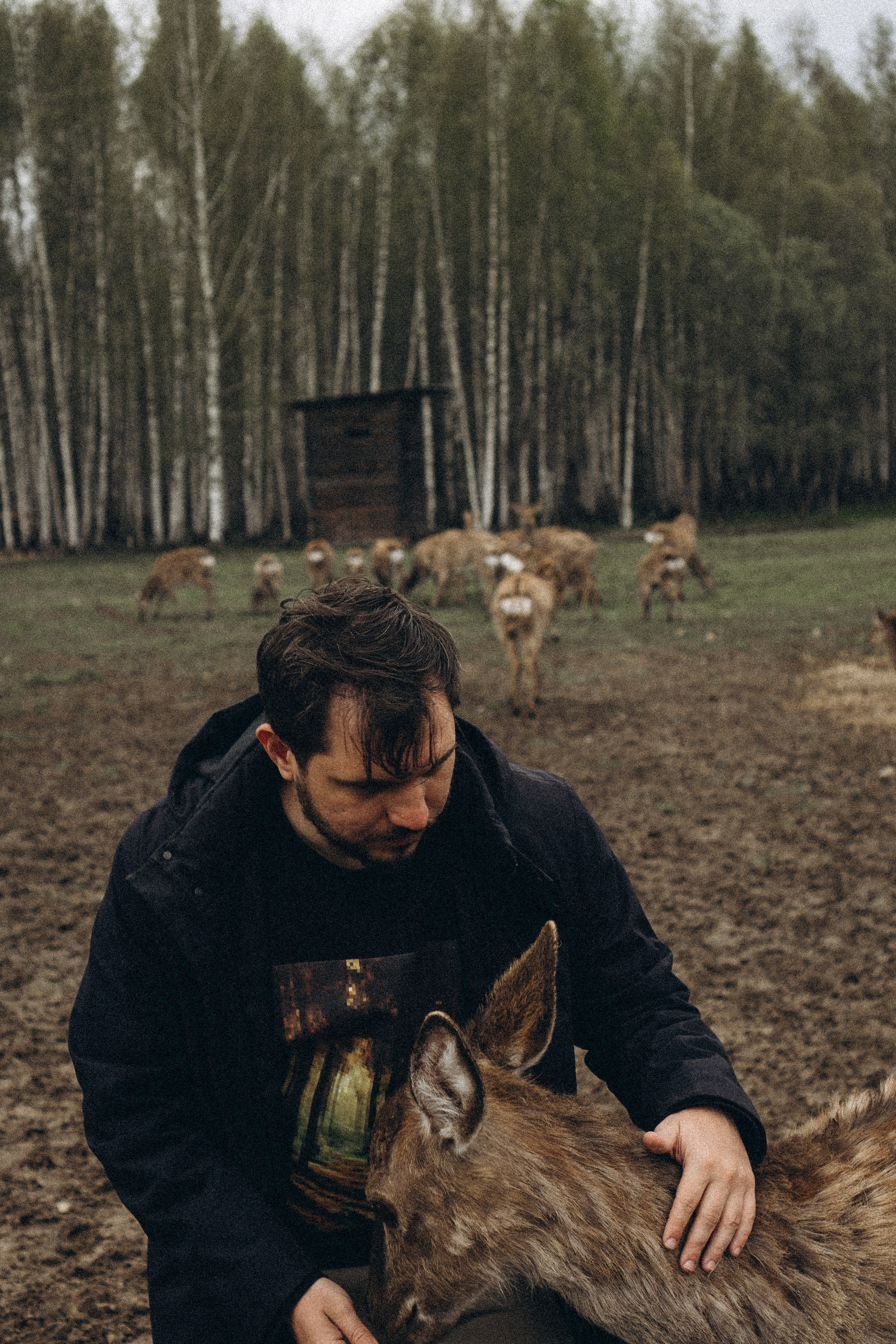 ОЛЕНЬЯ ФЕРМА В ТВЕРИ. Профессиональный фотограф, Санкт-Петербург — Виктория Богомолова