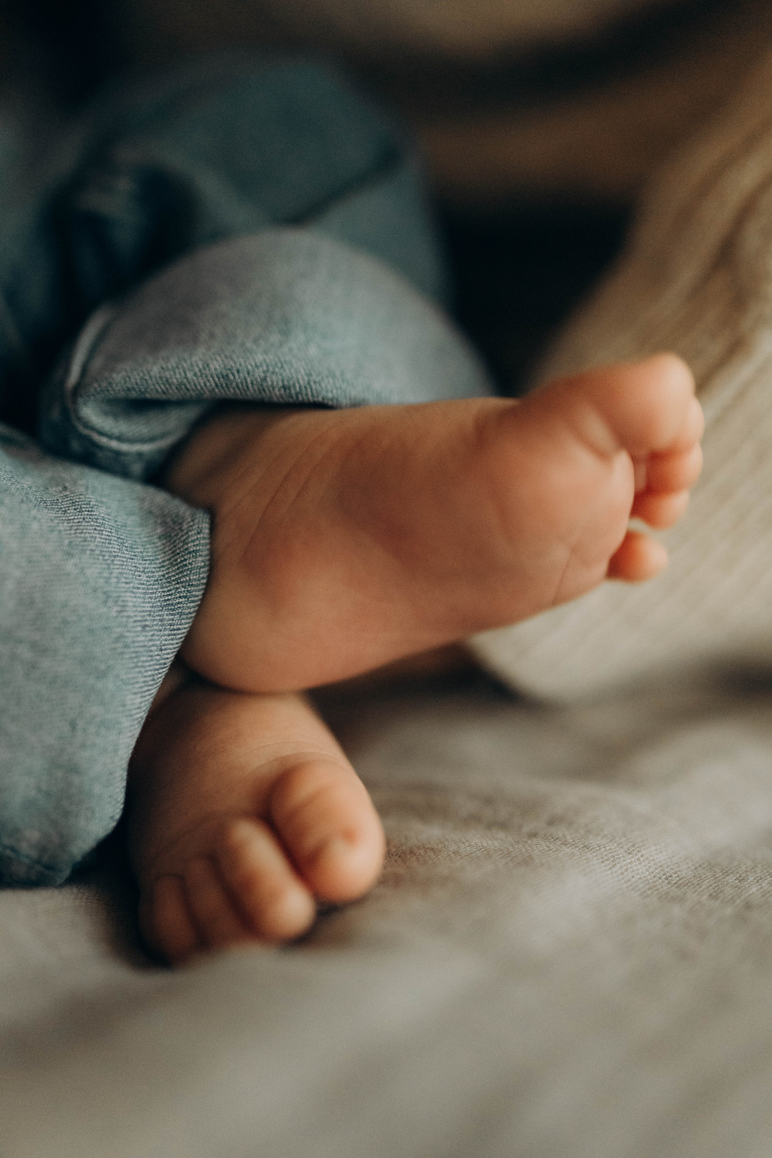 Сева, Сехран, Мурад и Имран. Семейный фотограф Юлия Котова