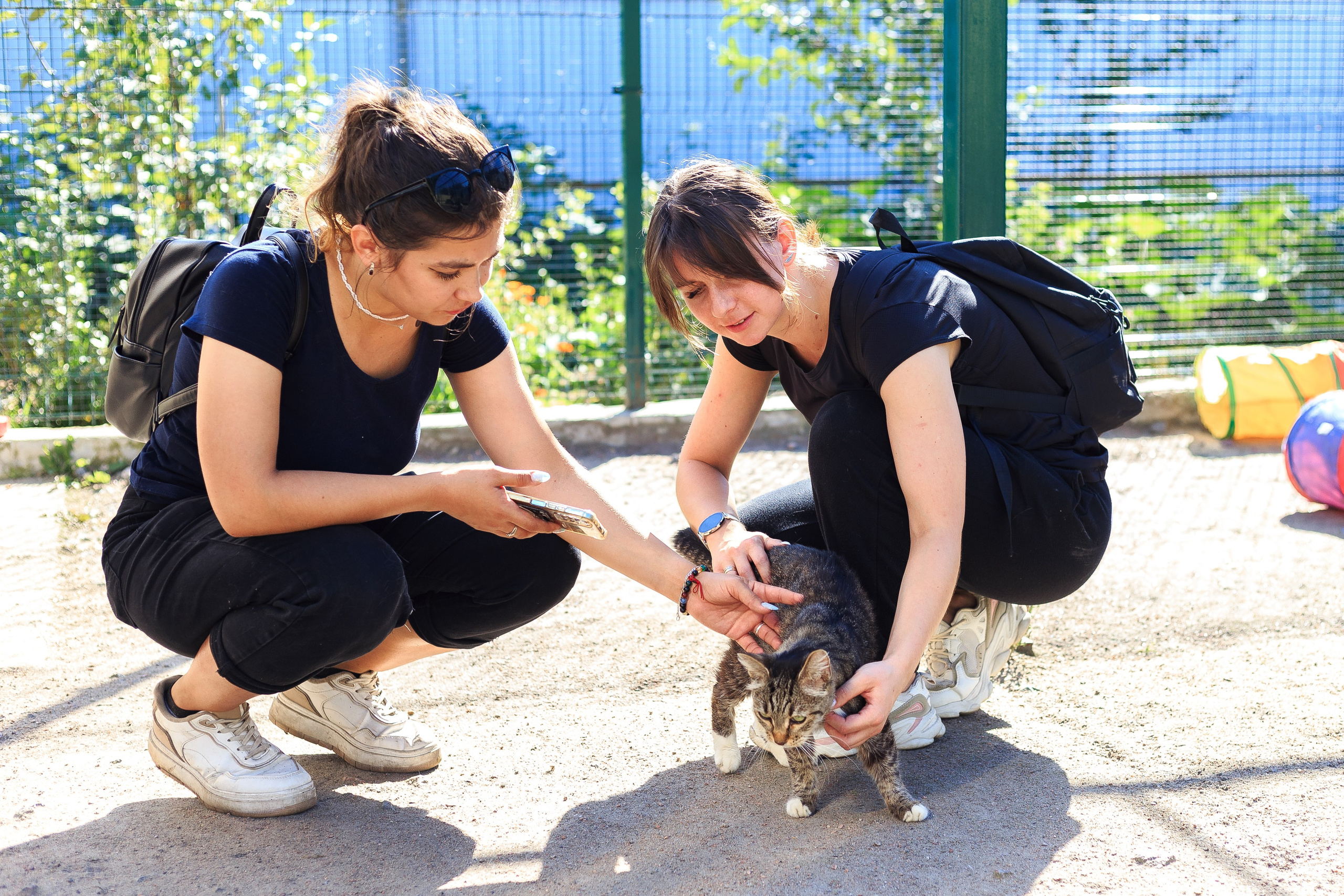 Petshop Забота. Фотограф в Санкт-Петербурге Чумаков Семен
