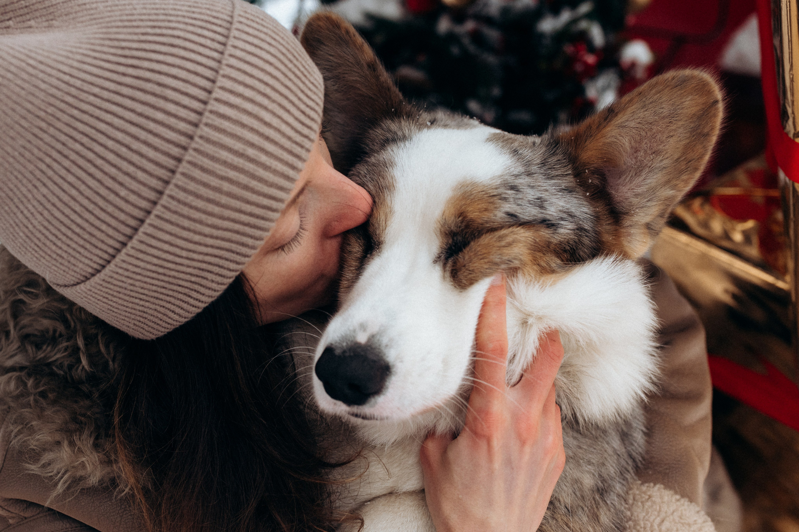 Маша и Дэф. Фотограф анималист в Москве Ольга Агушева