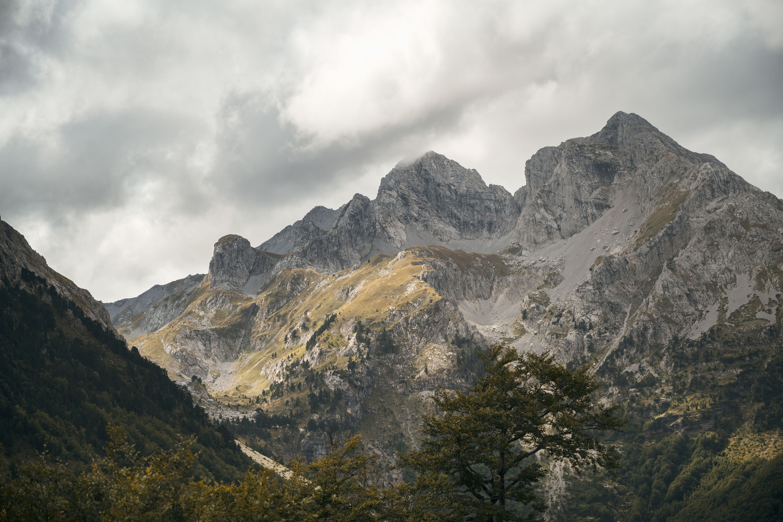 ГОРЫ КОМОВИ. ЧЕРНОГОРИЯ. Фотограф в Белграде Чугреева Елена