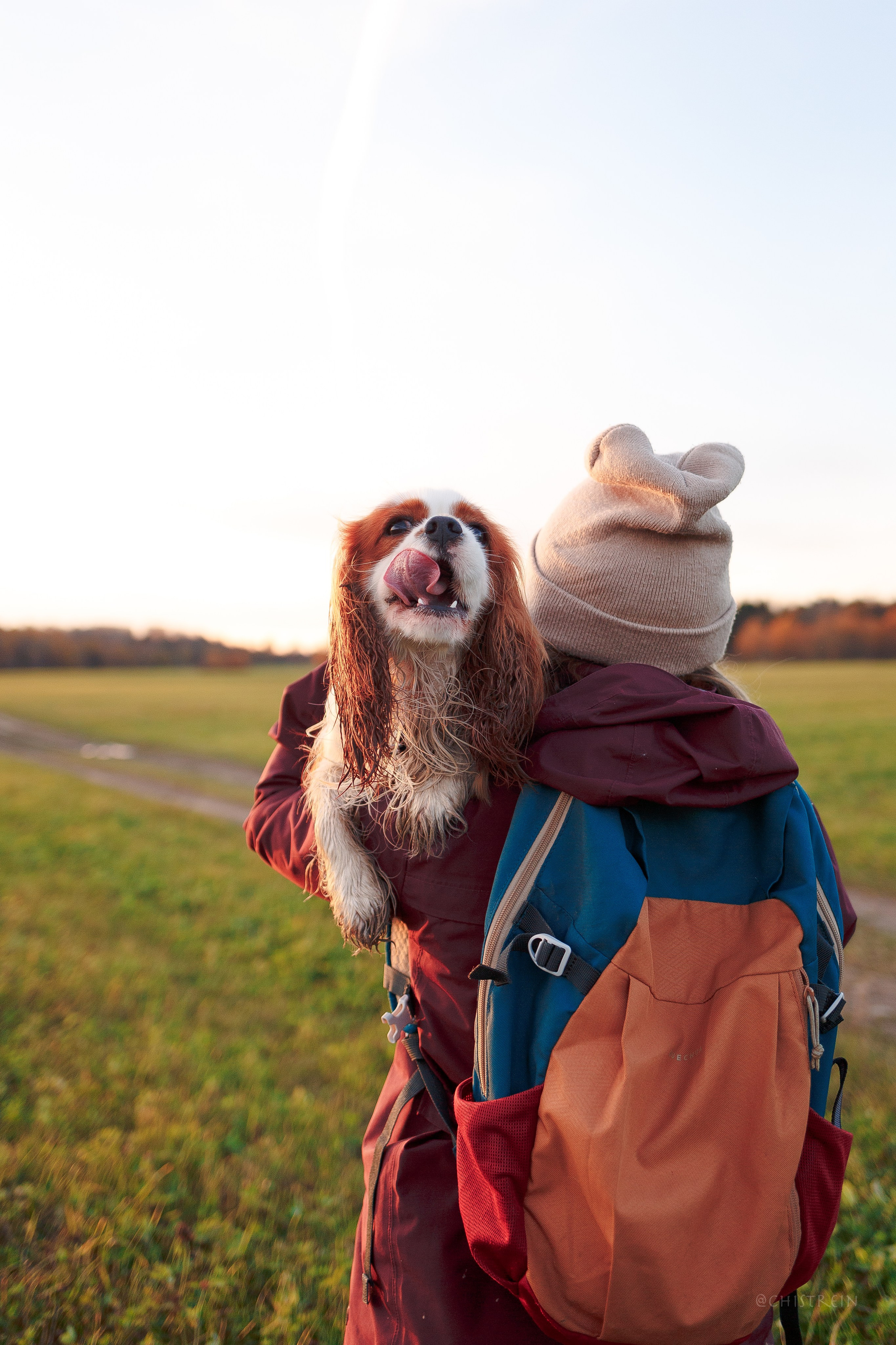 Октябрьский закат в полях. Алина и Лео. Фотограф-анималист Наталия Чистюхина в г. Сосновый Бор и ЛО
