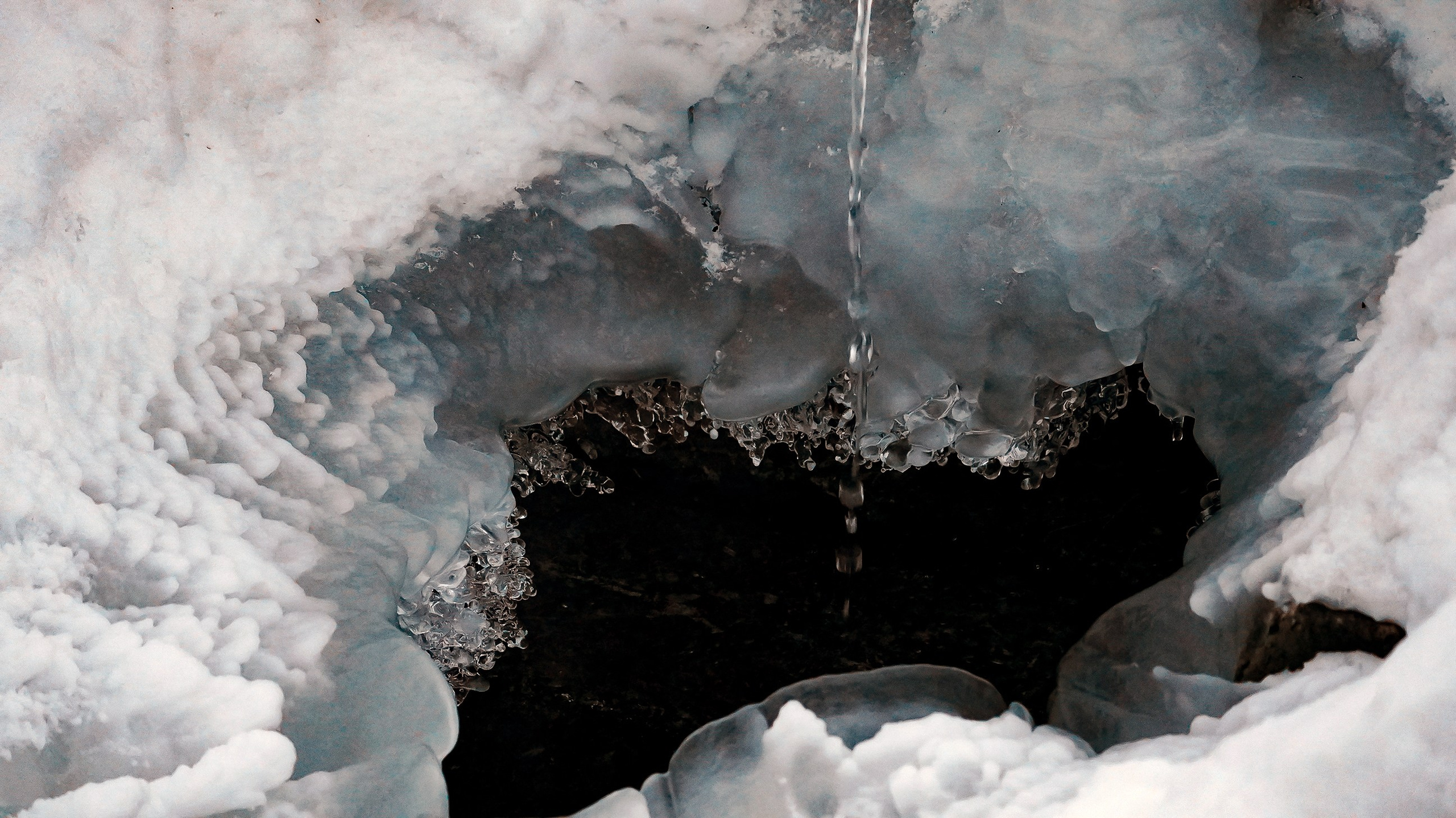Уличная и репортажная фотография. Репортажный фотограф в Москве Светлана Мулыкина