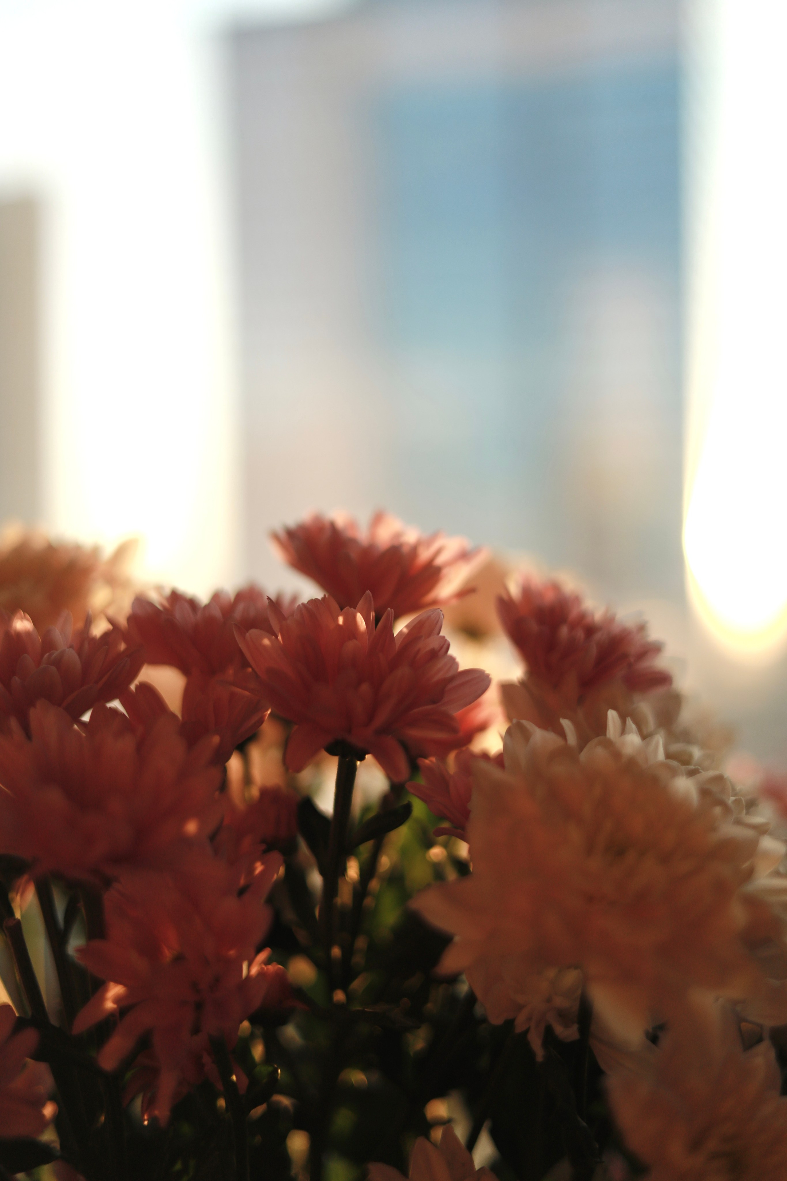 Vibes. Фотограф в Москве, портреты, мероприятия, бренды