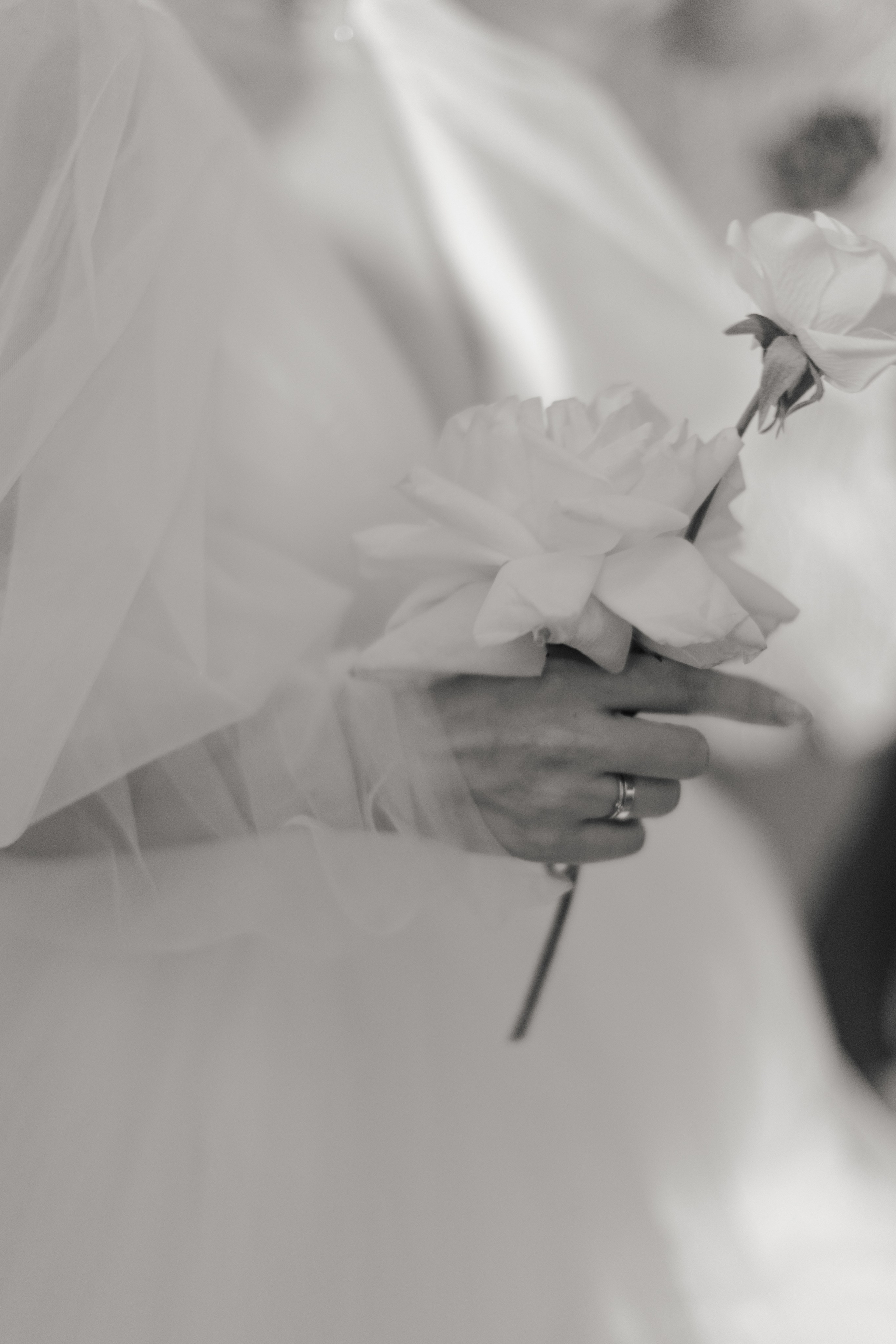 Артем и Оля. @dariazphoto свадебный фотограф