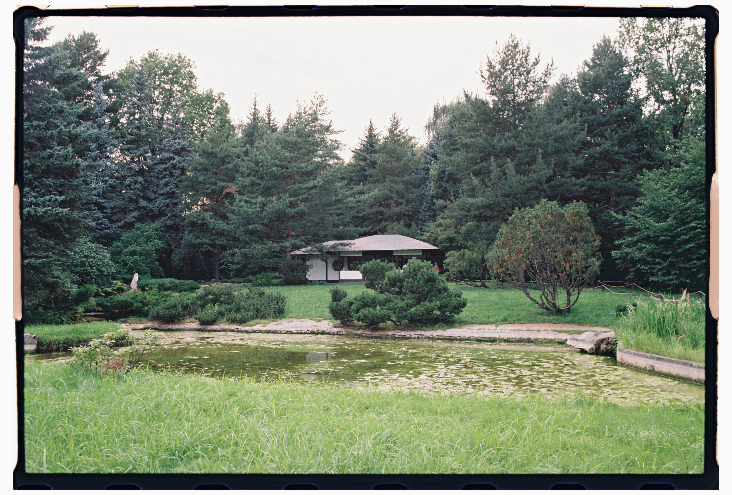 Модель Ася, пленка. Фотограф в Москве. Екатерина Митина