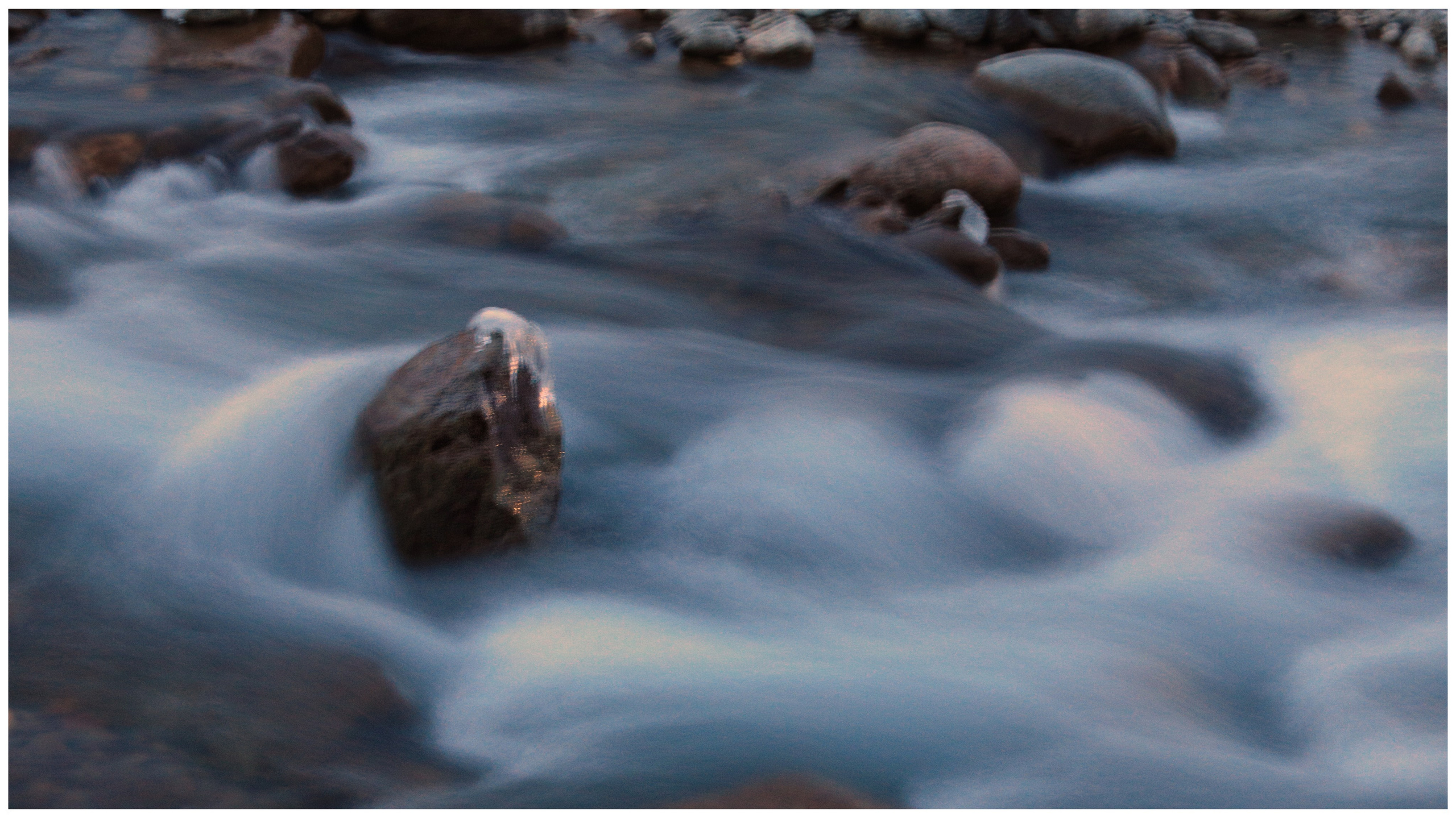 2020. Тащилин Сергей. Фотографии. Жизнь. Хобби