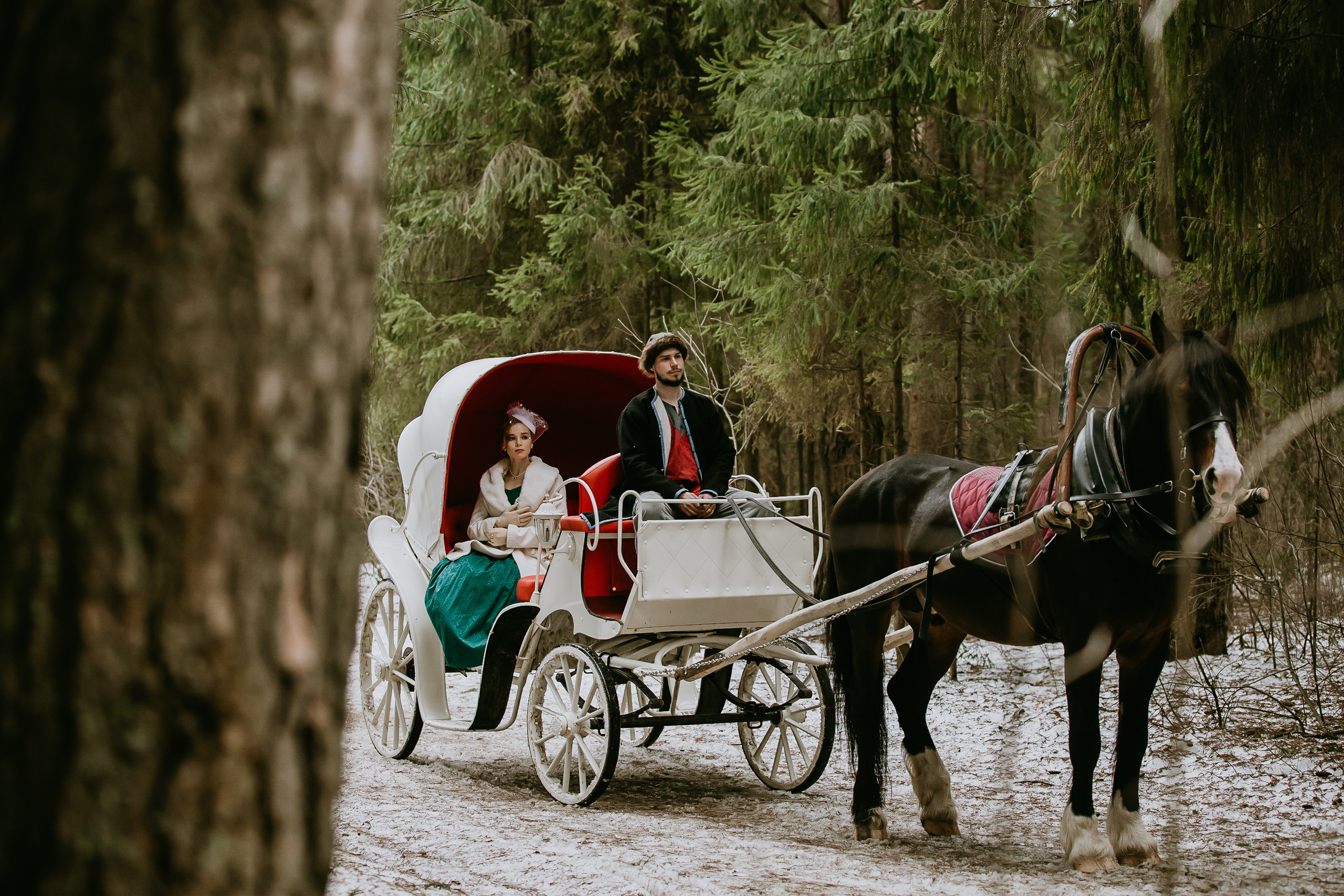 Василиса. Фотограф событий Злобин Дмитрий