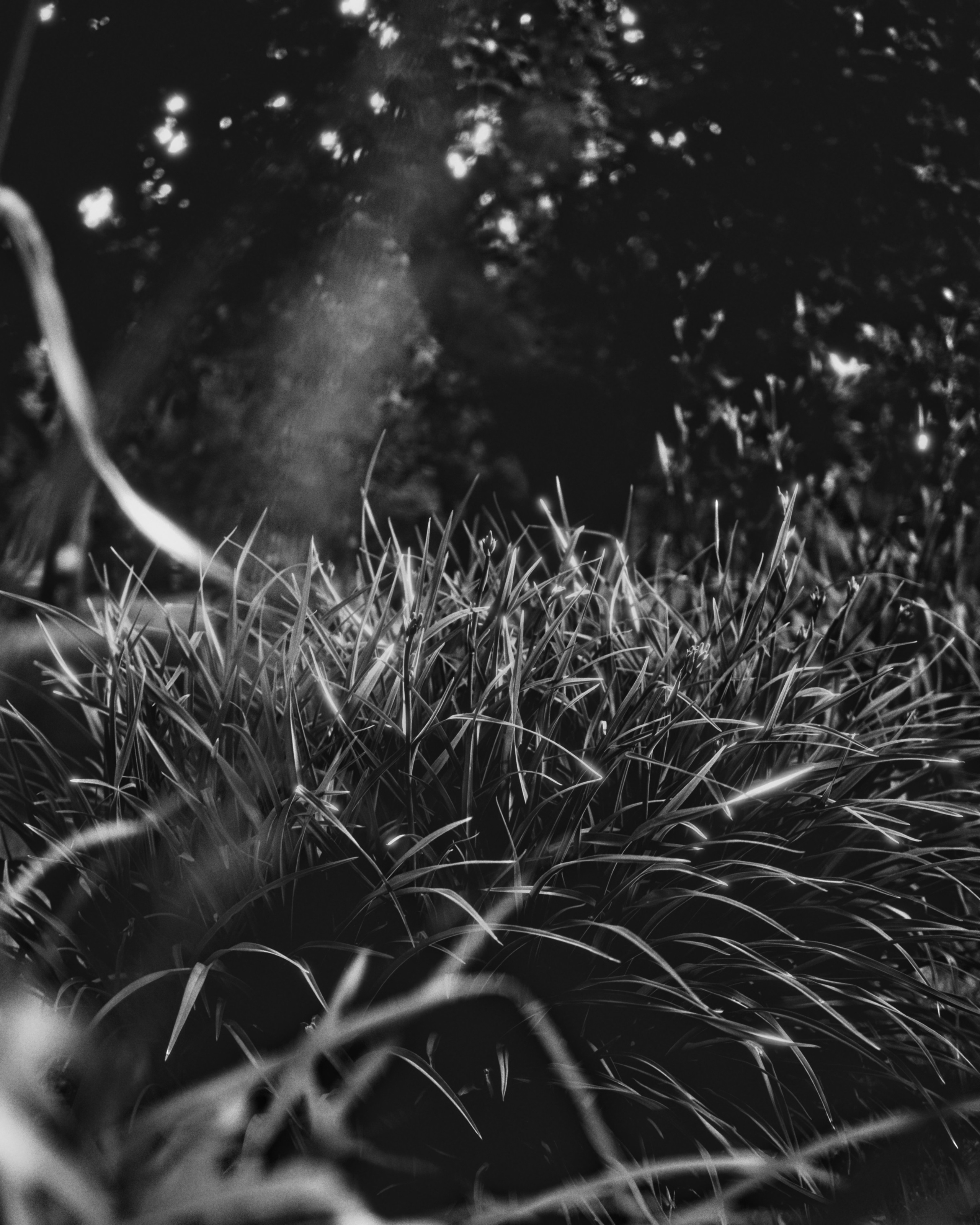 Портретная фотосессия в азиатском стиле