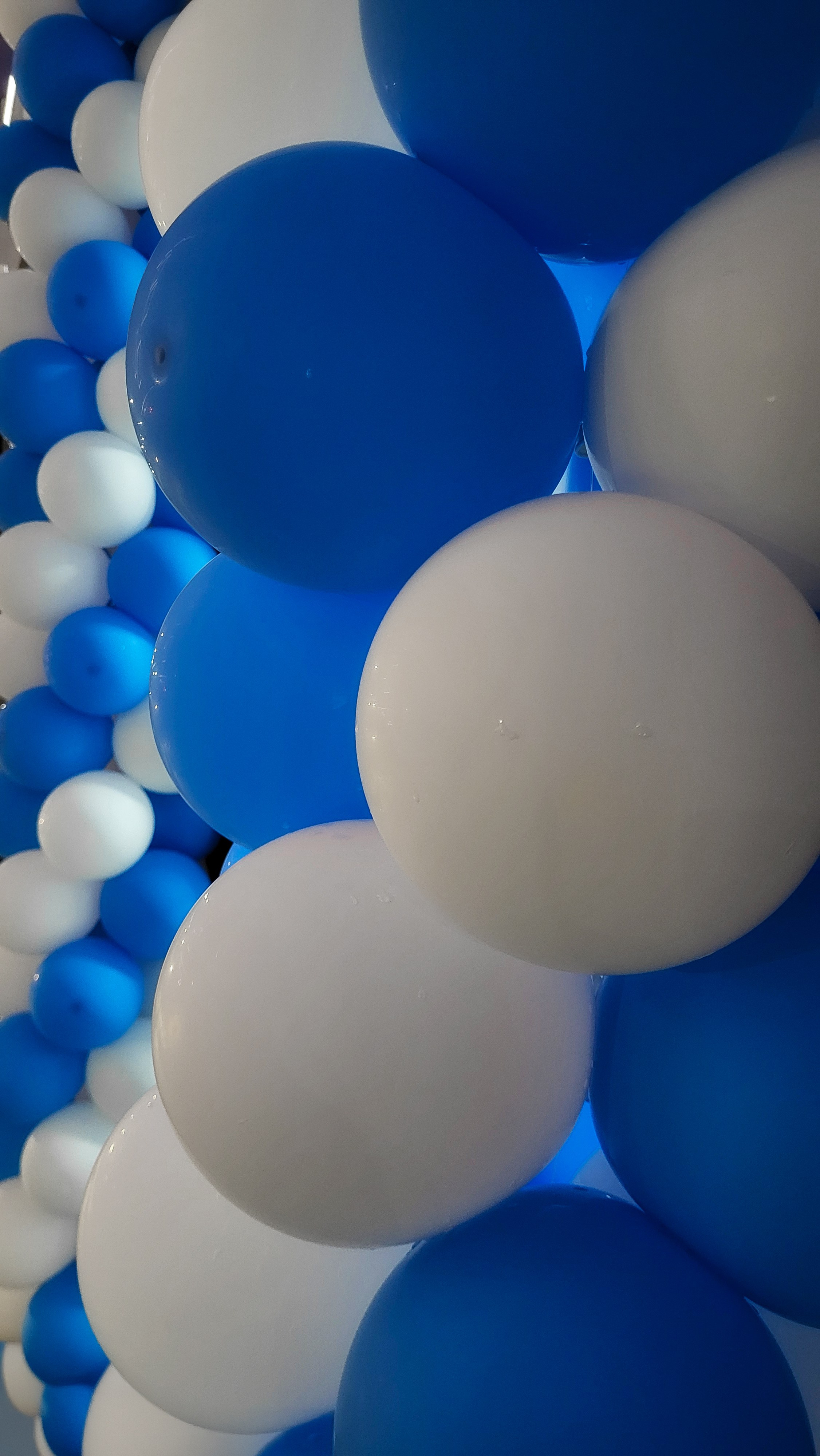 Проект «366»|2024|Фото каждый день. LENA GRACE photographer ||ЛЕНА ГРЭЙС фотограф