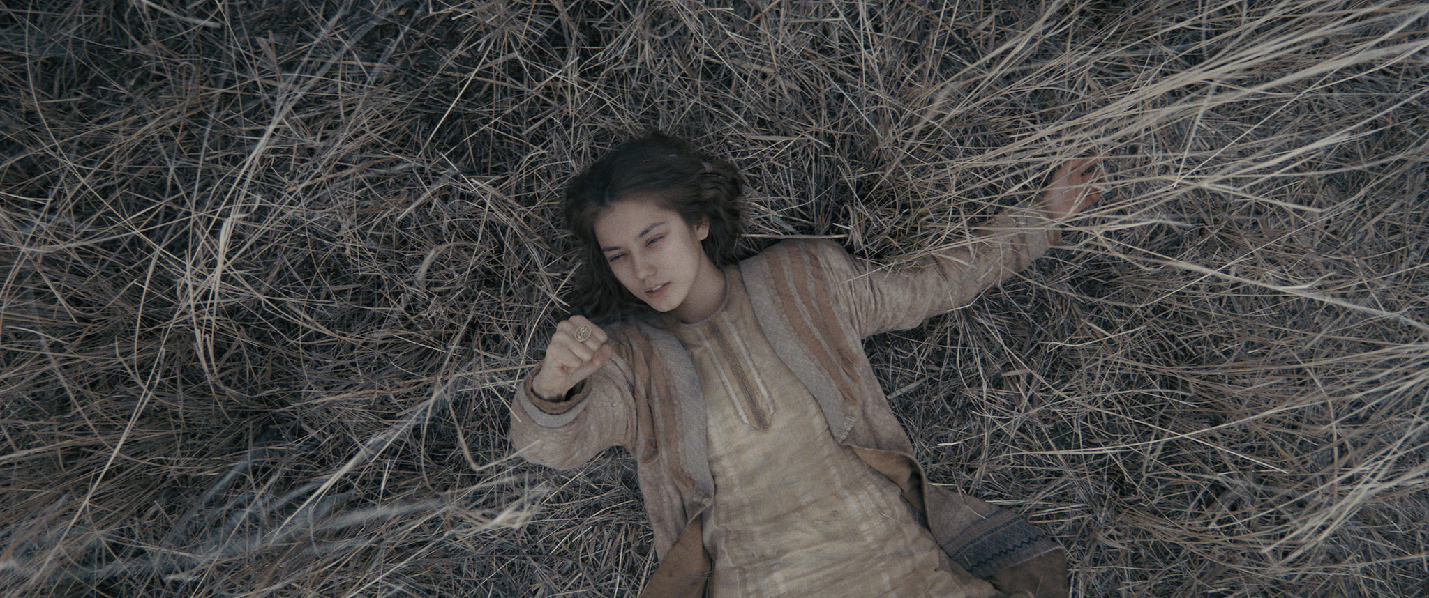 Цветокоррекция исторического фильма «Томирис». Цветокоррекция и мастеринг видео в Санкт-Петербурге — Антон Евтягин