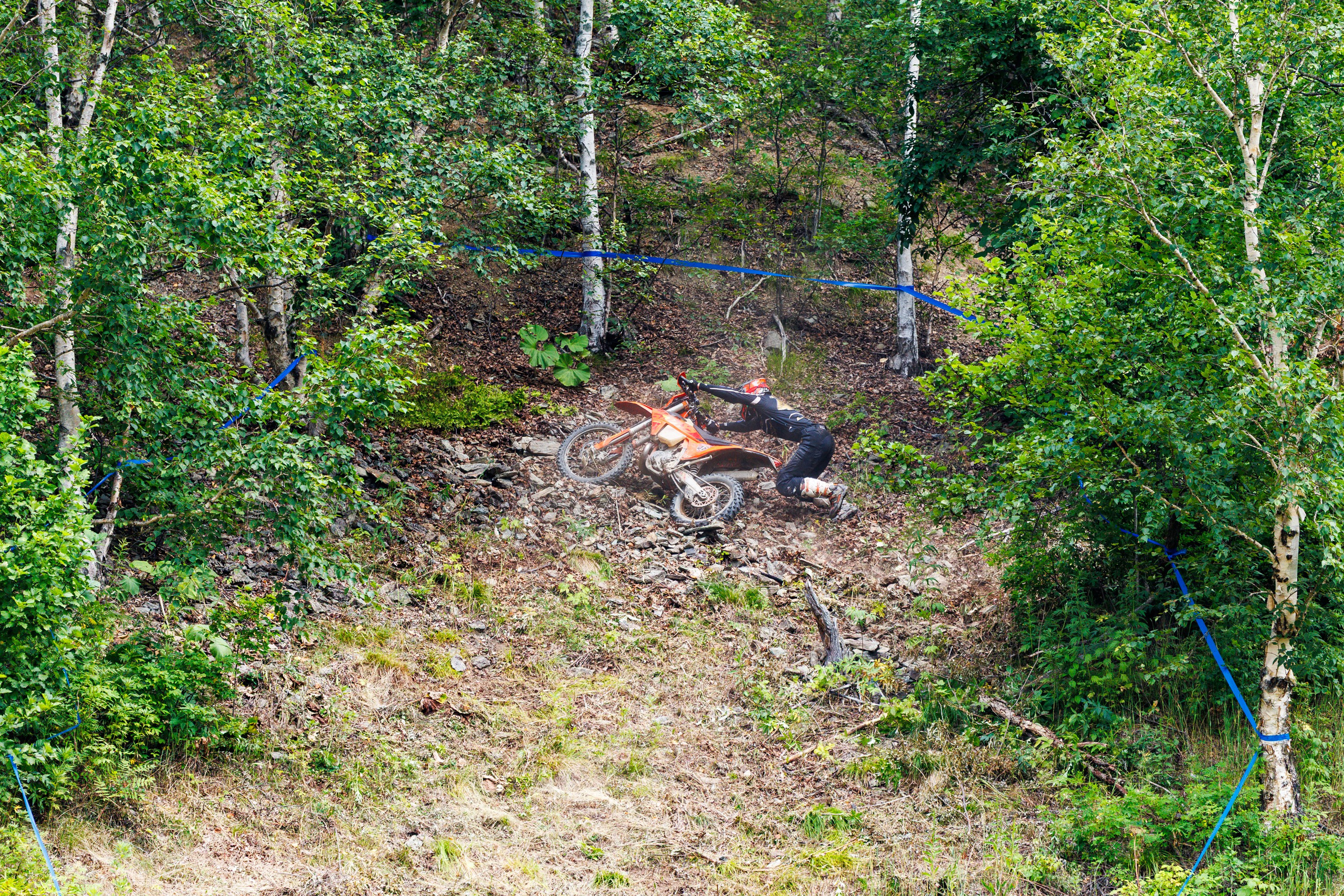 NPR-2025. Свадебный, семейный и репортажный фотограф в Южно-Сахалинске Артур Петросян