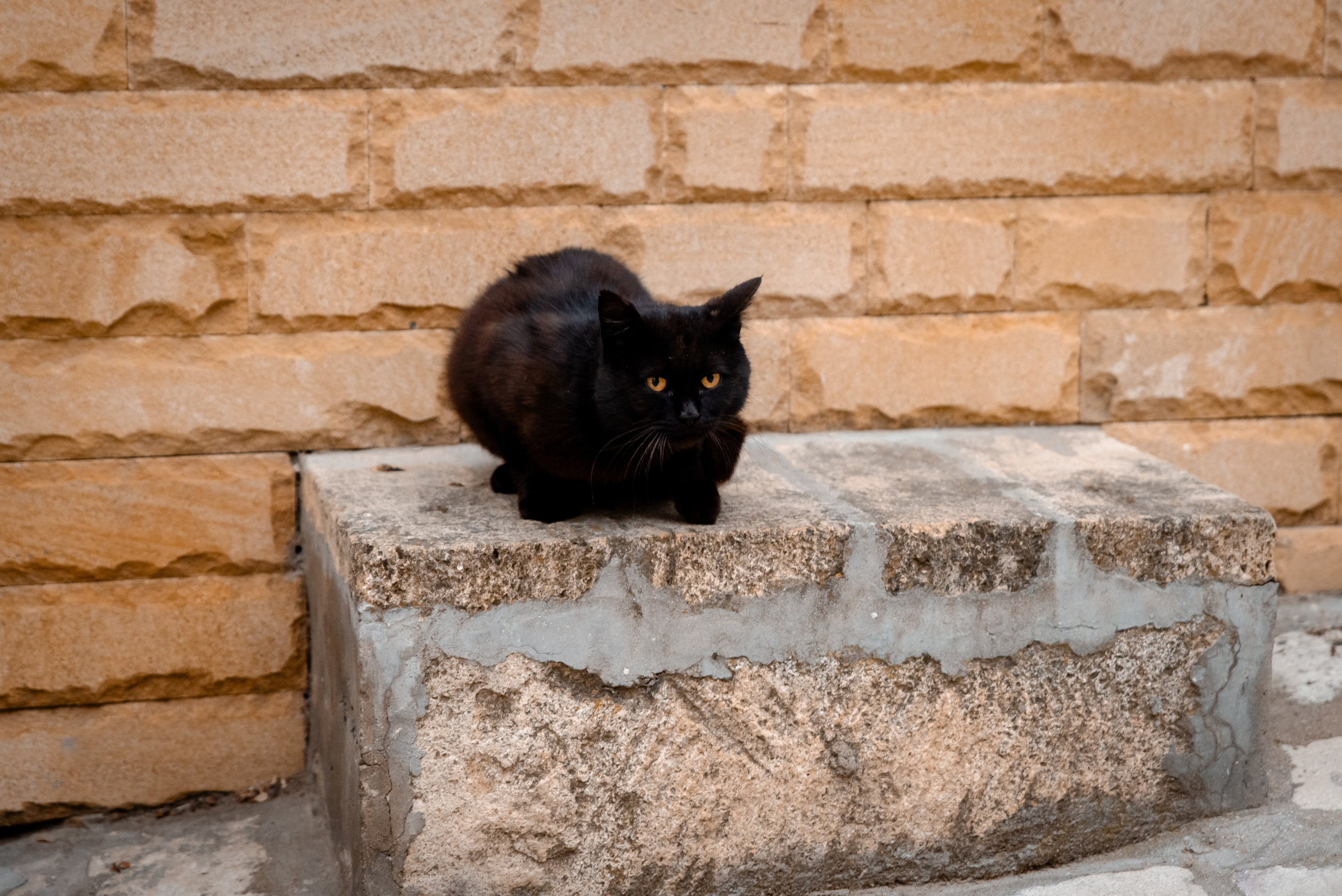 Дагестан. Фотограф Крещение Венчание Москва
