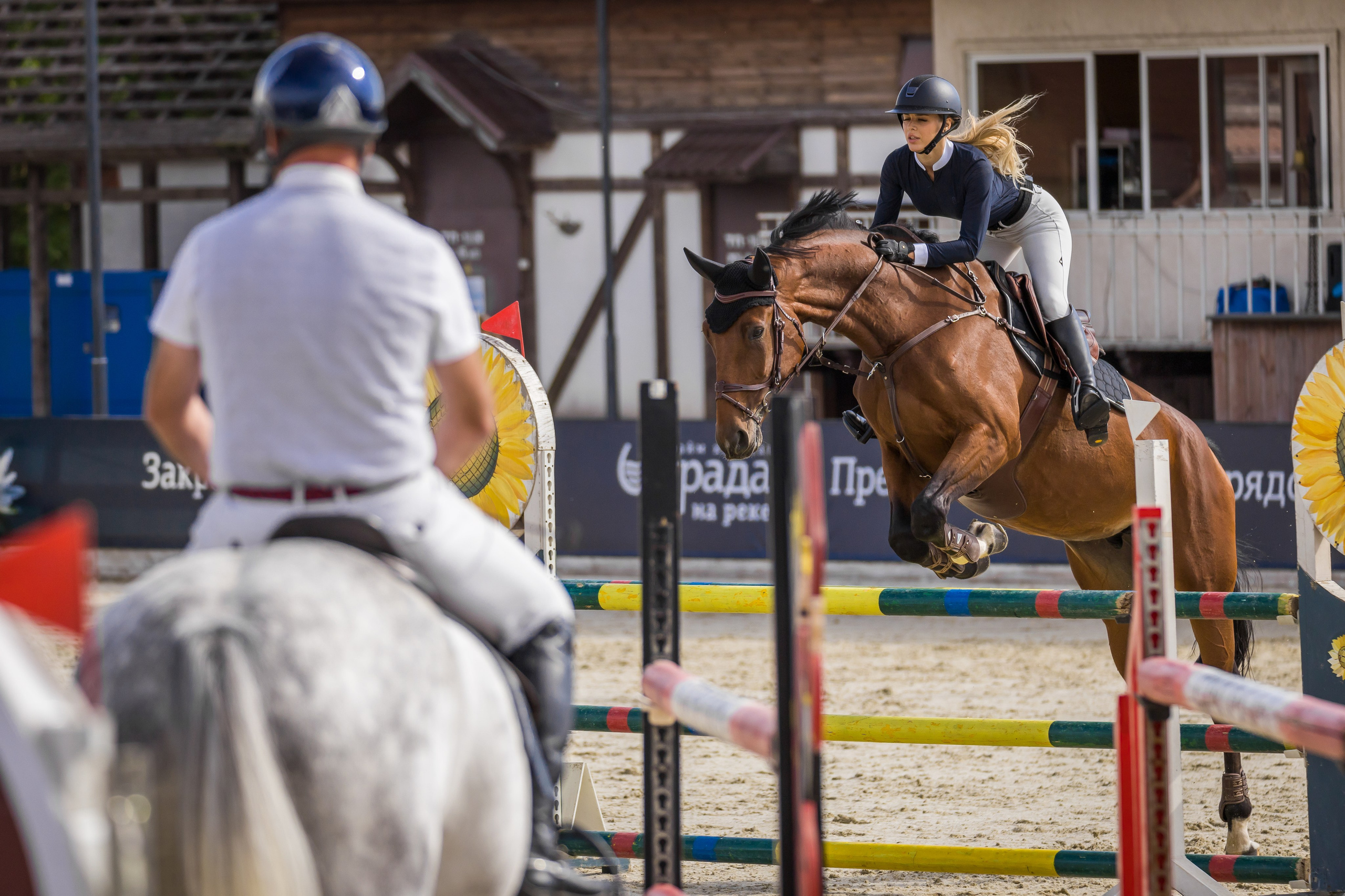 Конный спорт. Photomantis