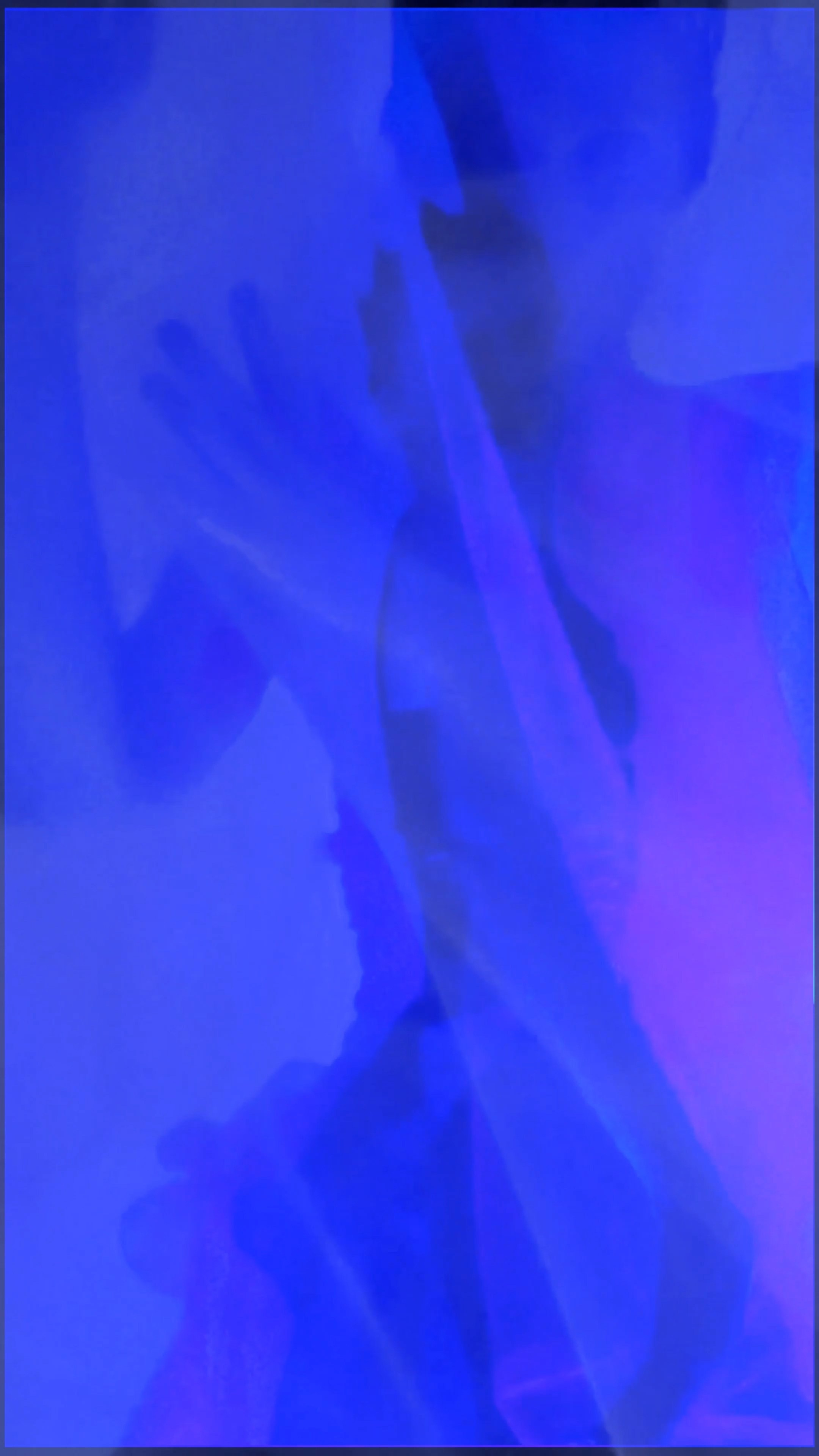 THE SAPPHIRE VEIL. Exclusive Closing Gifts for Top Realtors | Custom House Portraits by Yulia Yurchevskaya