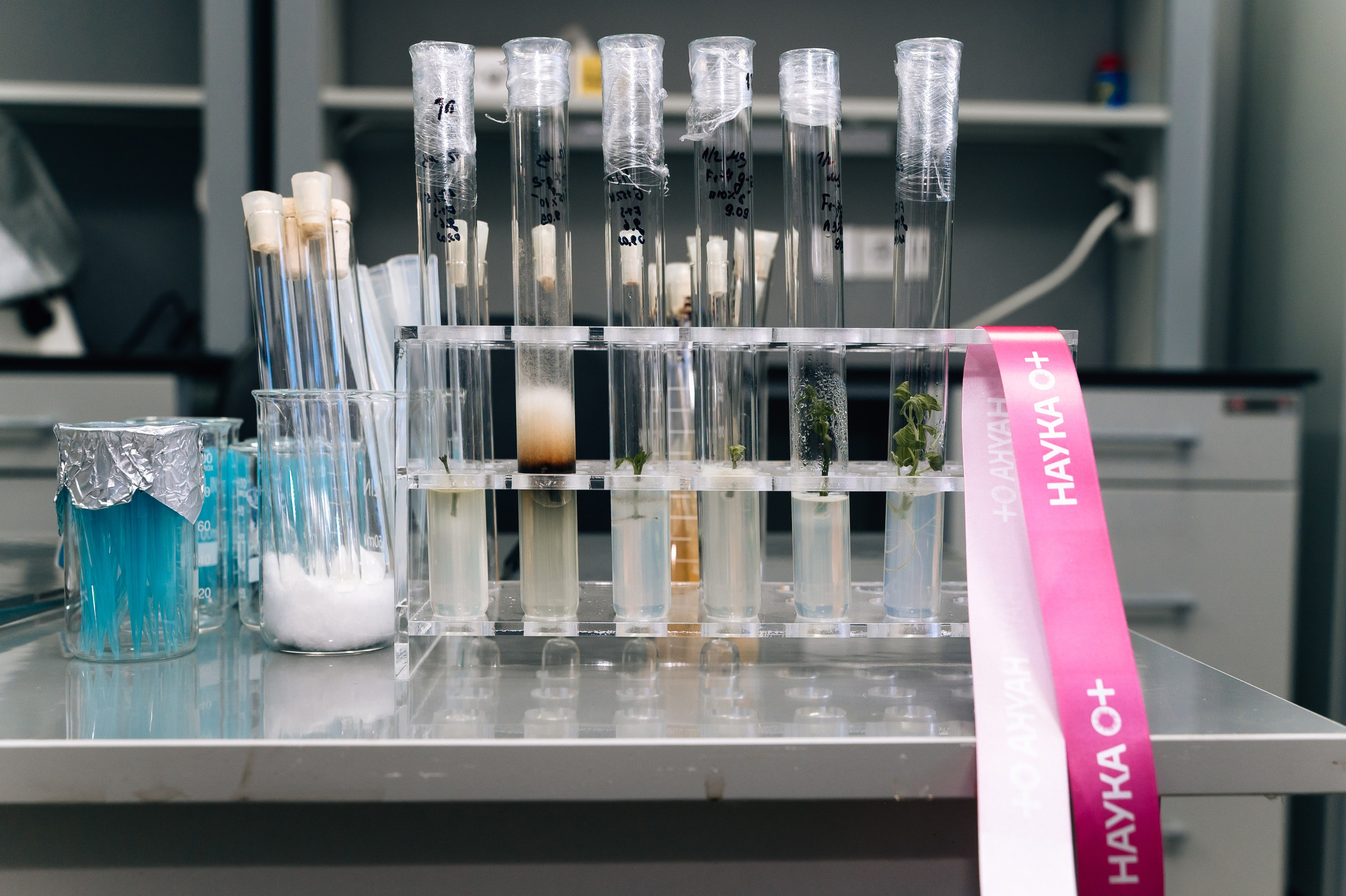 Международная конференция РАН