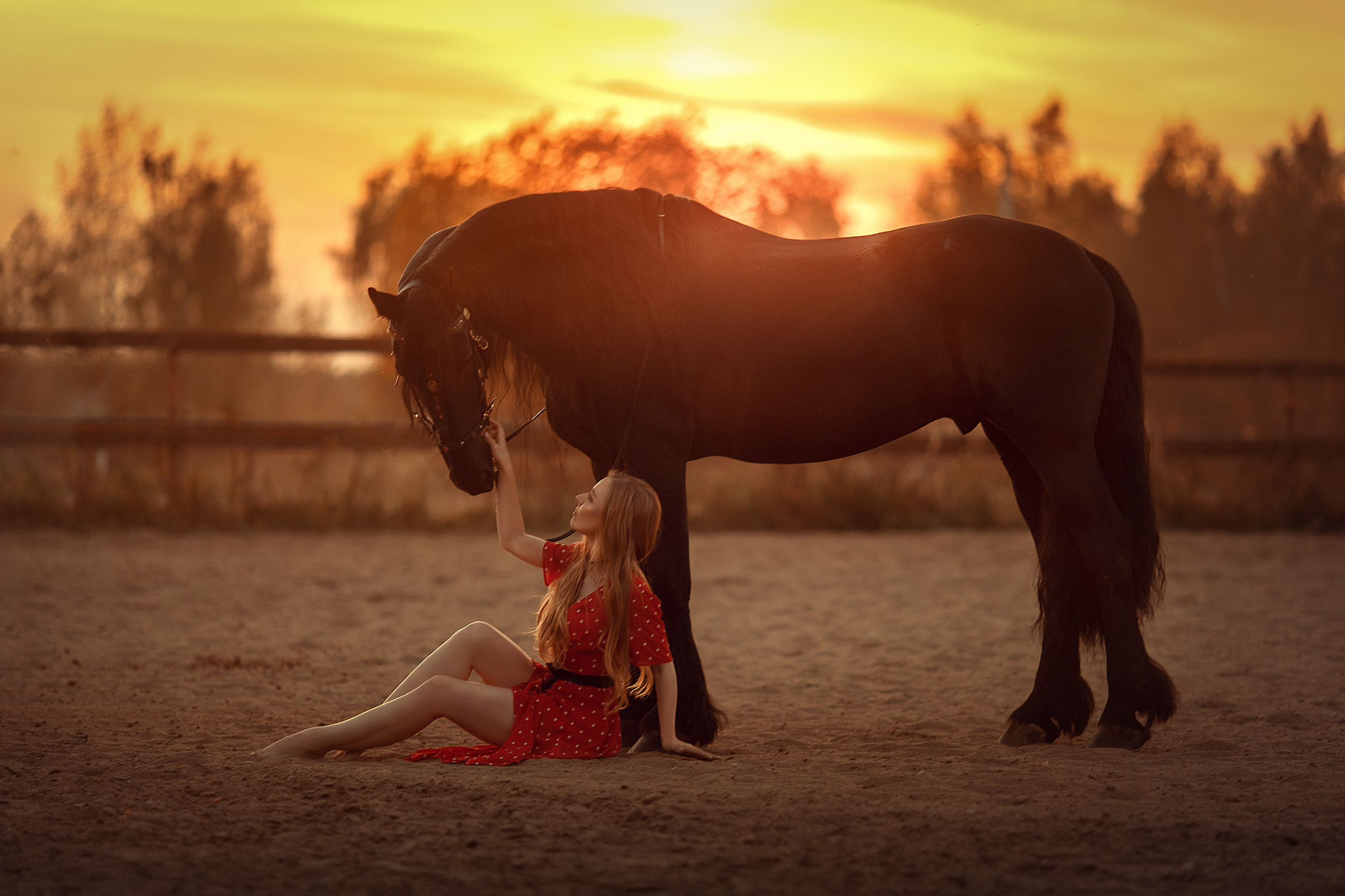 Съемки с лошадьми. Художественная фотография Анны Онтиковой в Москве и Томске