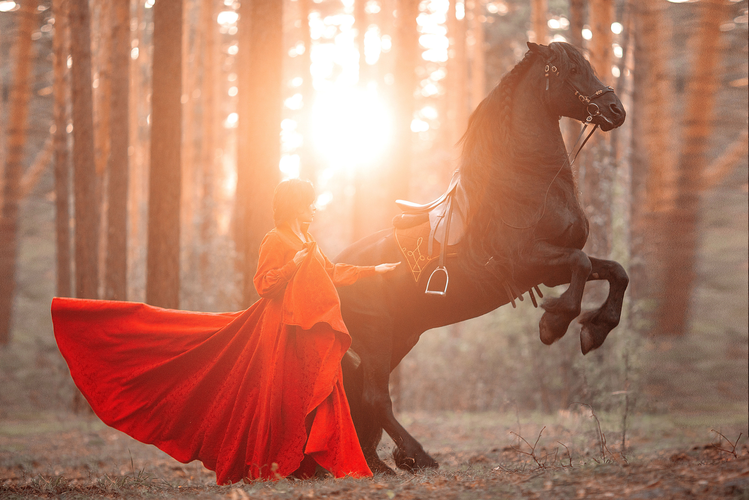 Съемки с лошадьми. Художественная фотография Анны Онтиковой в Москве и Томске