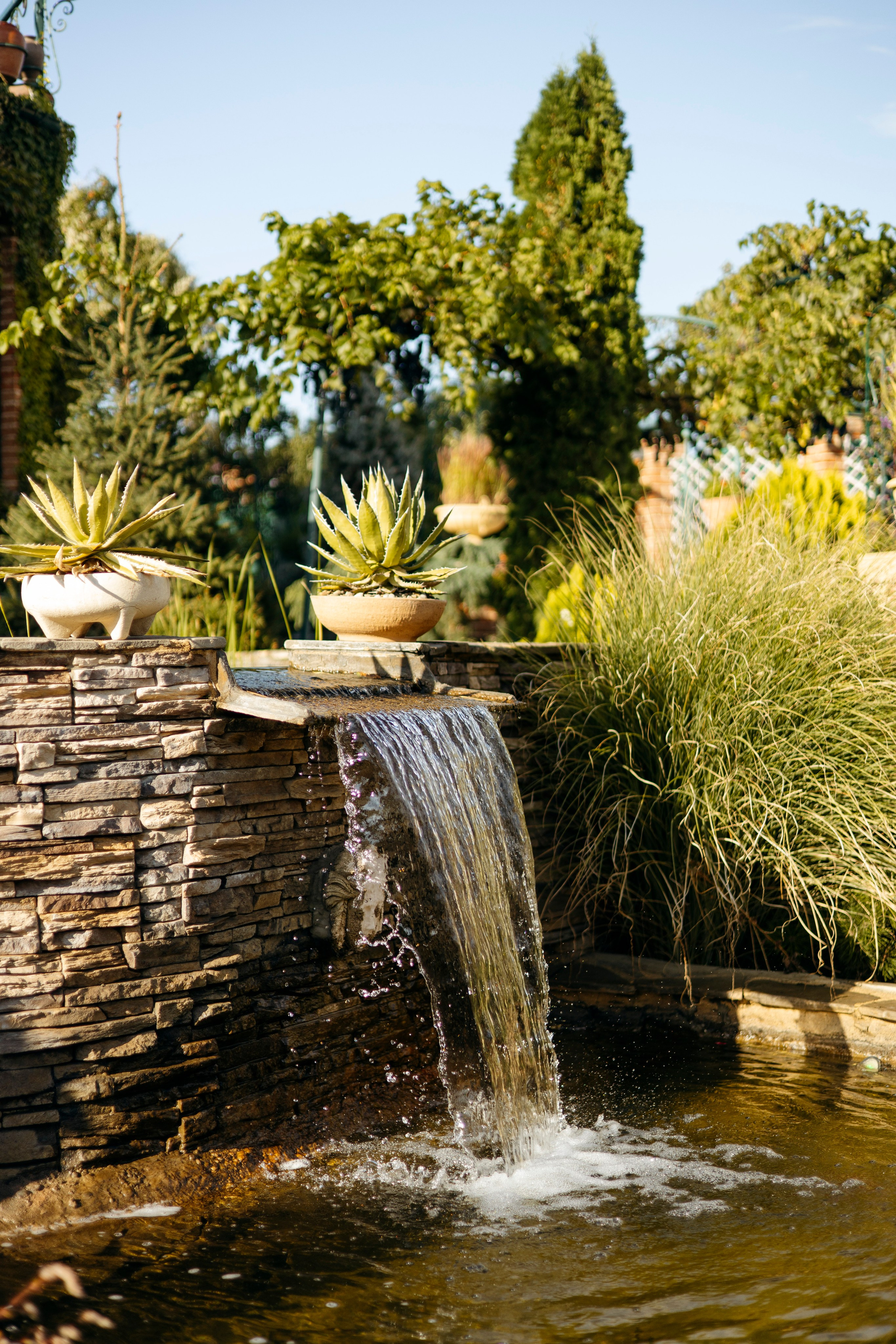 Роман и Ксения. Nikolpinhasova