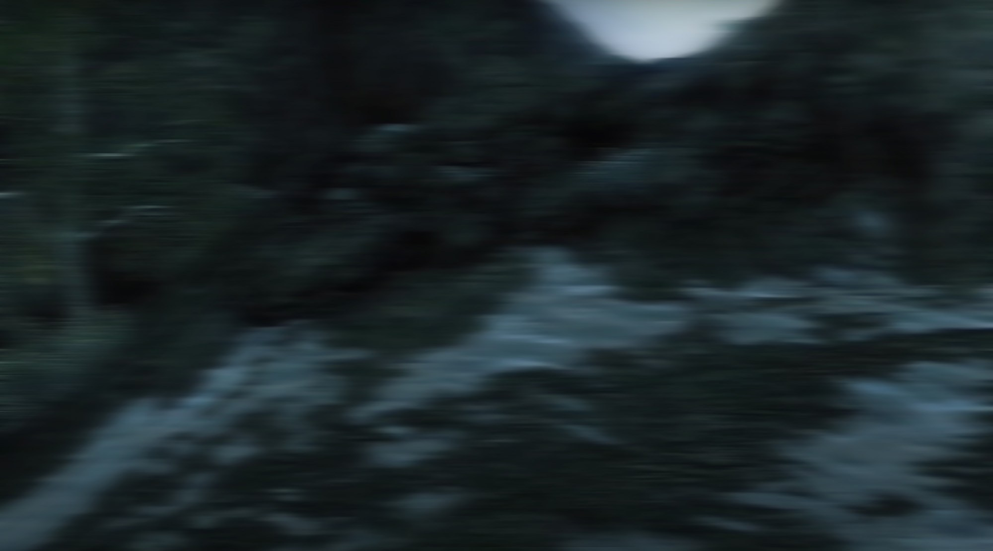 Deathscapes. Petr Antonov