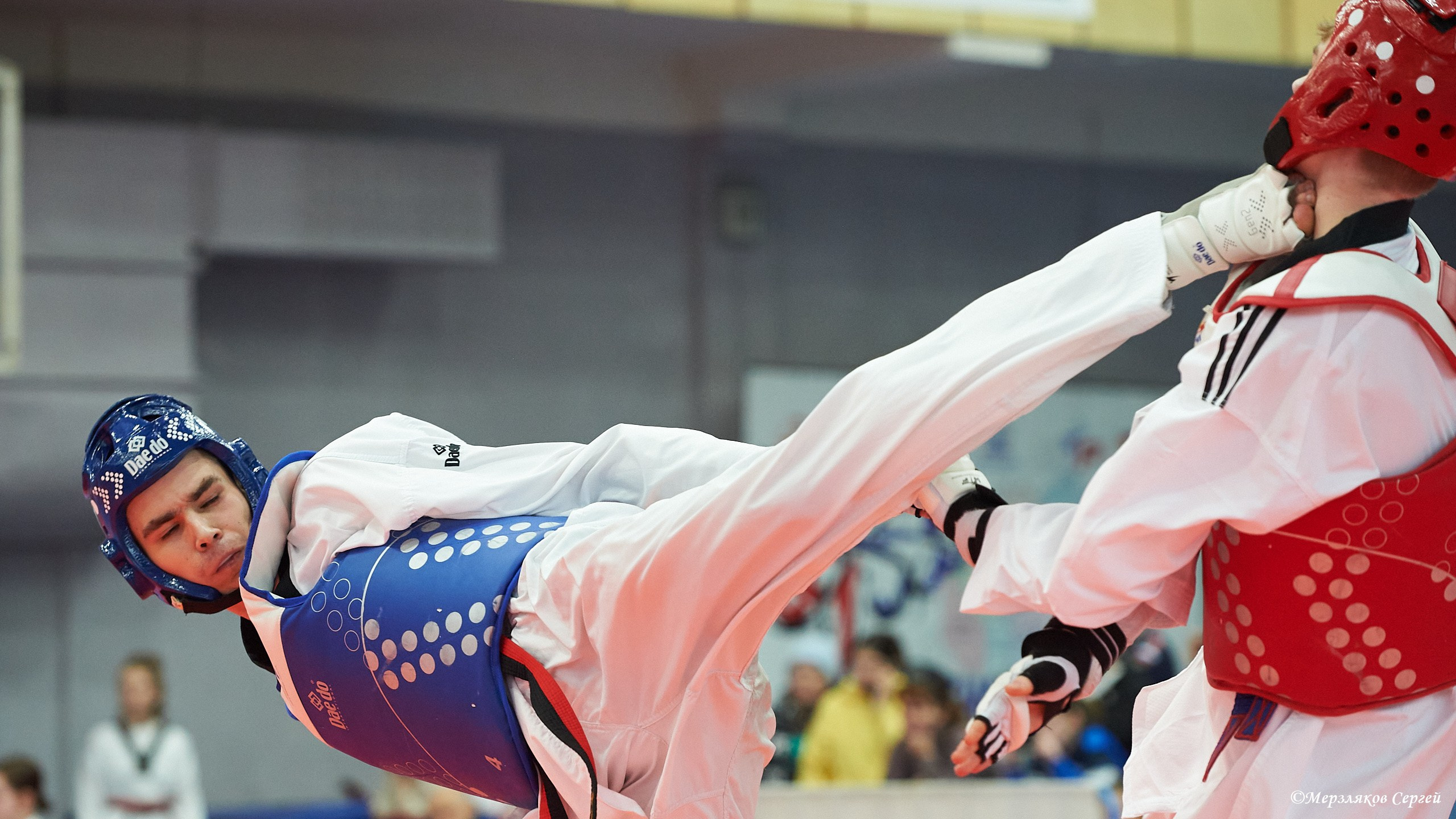Тхэквондо. ПФО. Ижевск. 2023.02.12. Спортивный репортажный фотограф в Ижевске Сергей Мерзляков