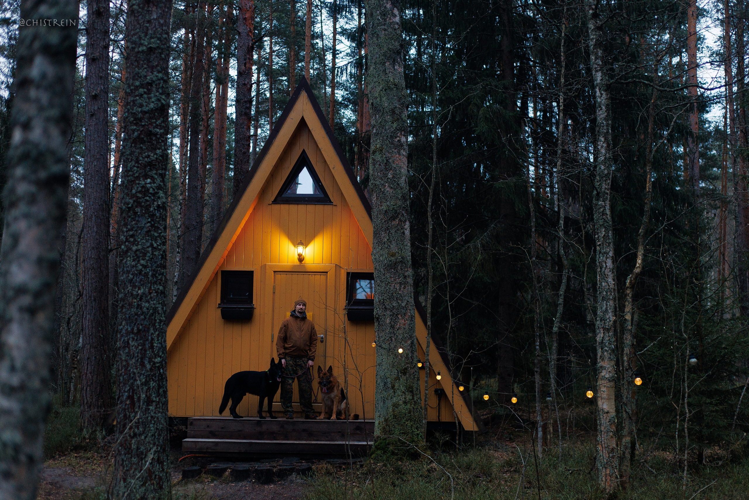 Shanti Home. Фотограф-анималист Наталия Чистюхина в г. Сосновый Бор и ЛО