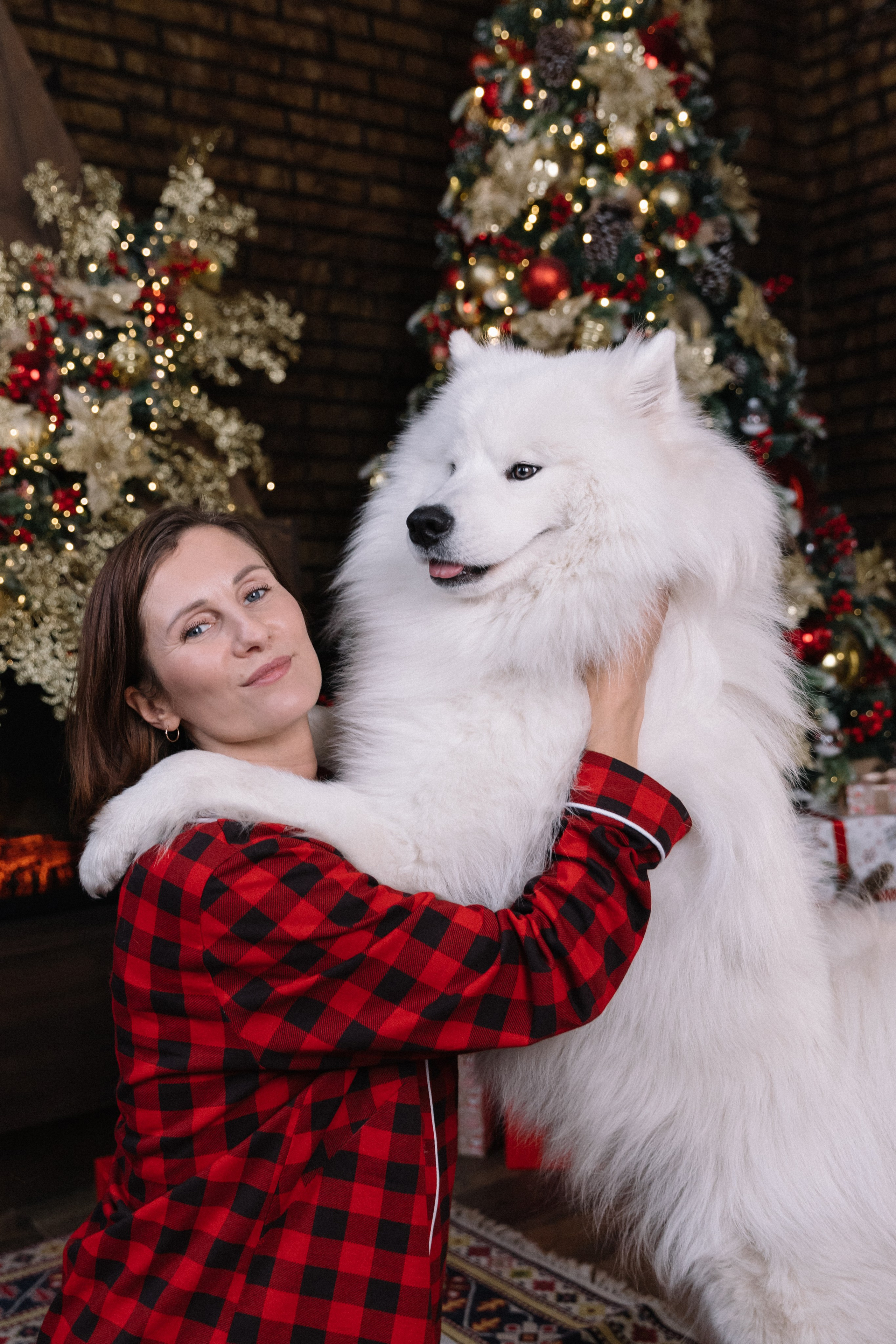 Фотоссамоедами Новосибирск. Самоед Новосибирск