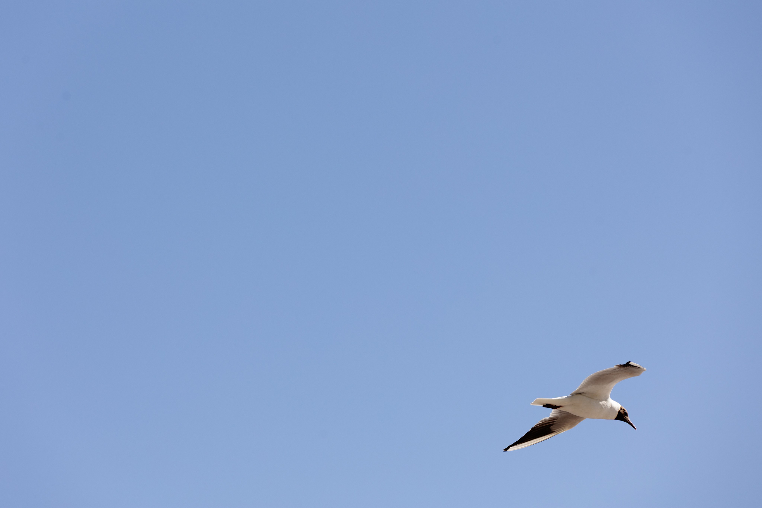 Виталий и Полина: свадьба загородом, где дождь не помеха. @dariazphoto свадебный фотограф