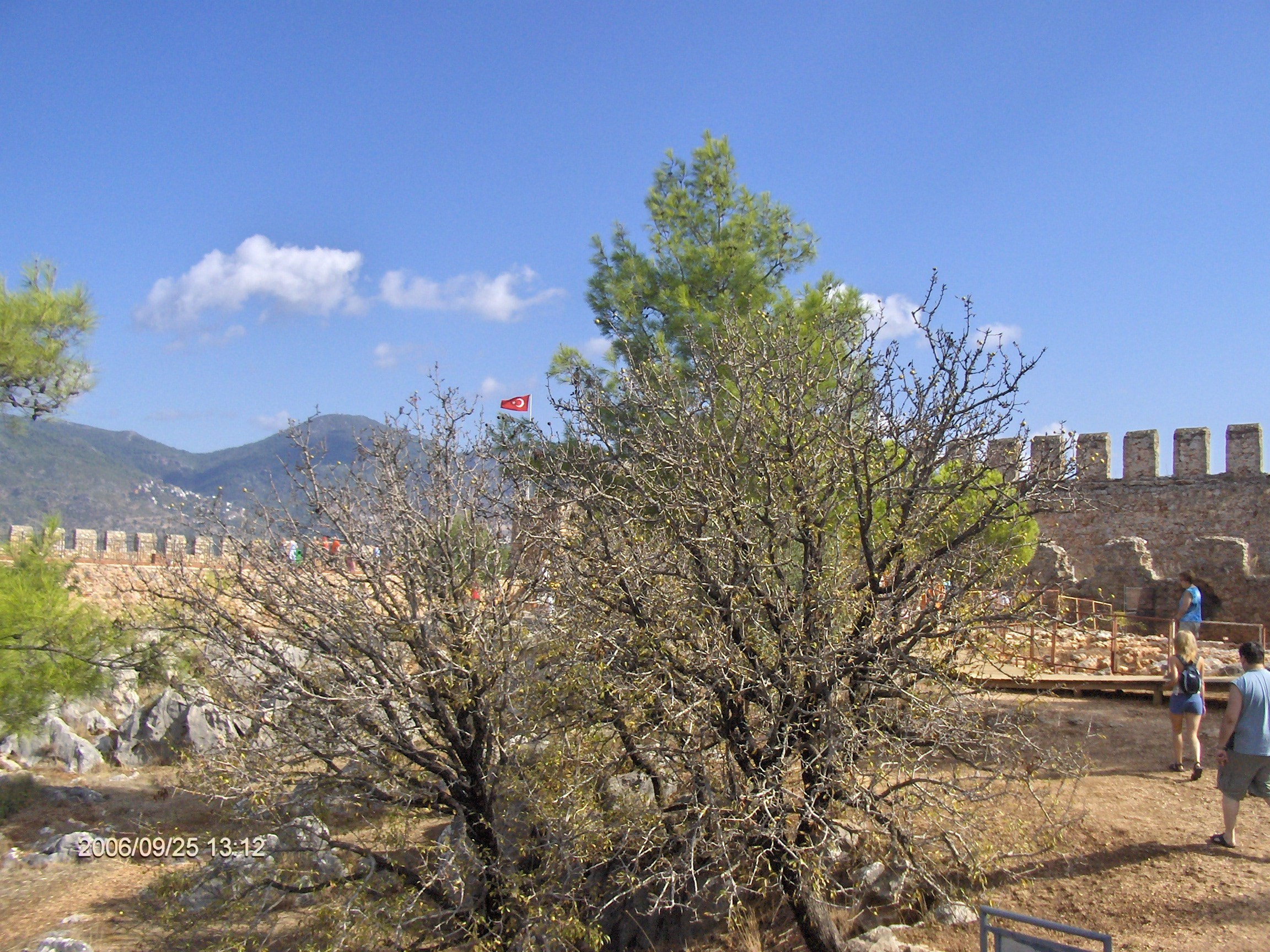 Алания, Конаклы 2006. Избранные фотографии