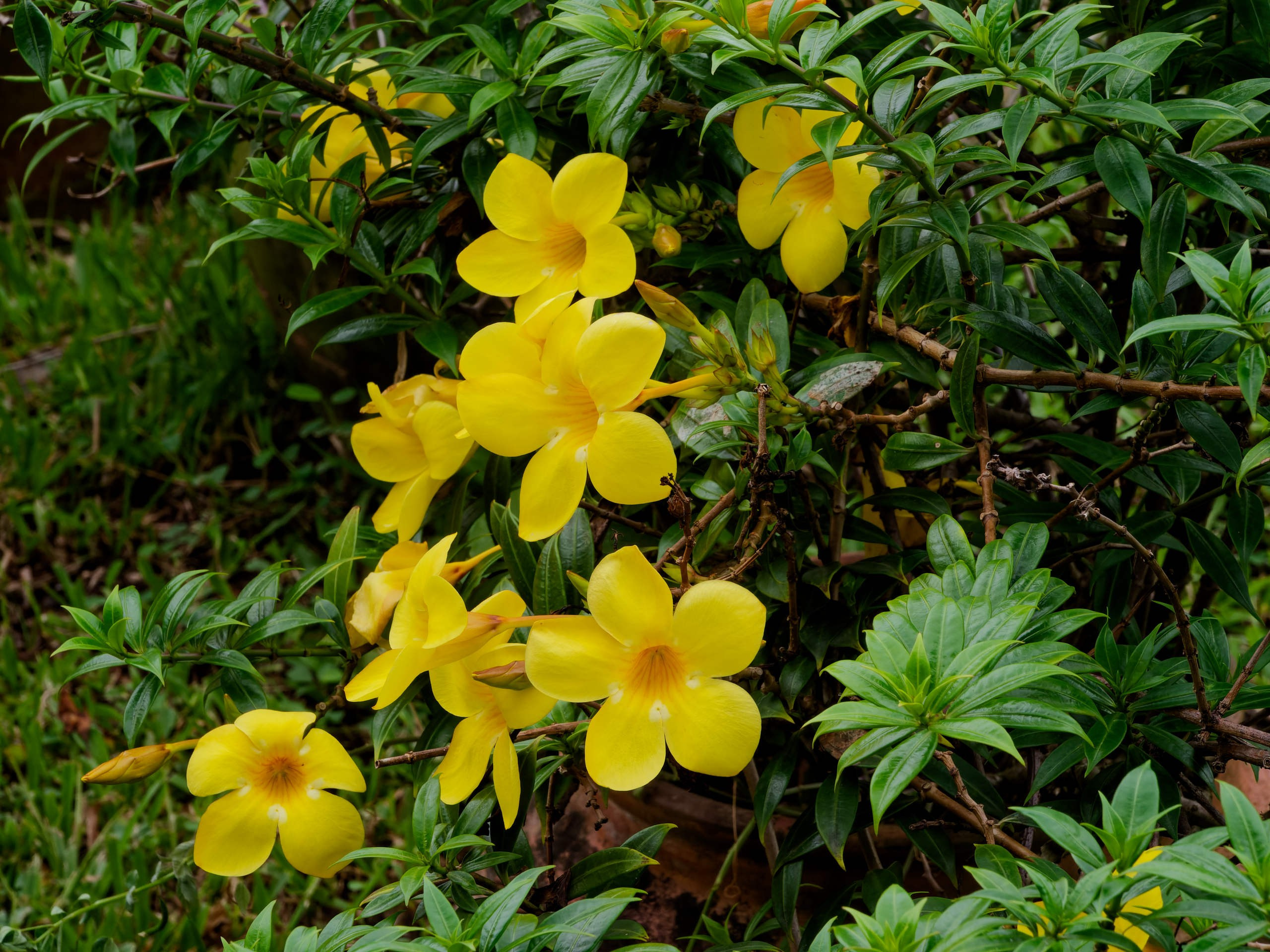 Нячанг 2025 (4). Избранные фотографии