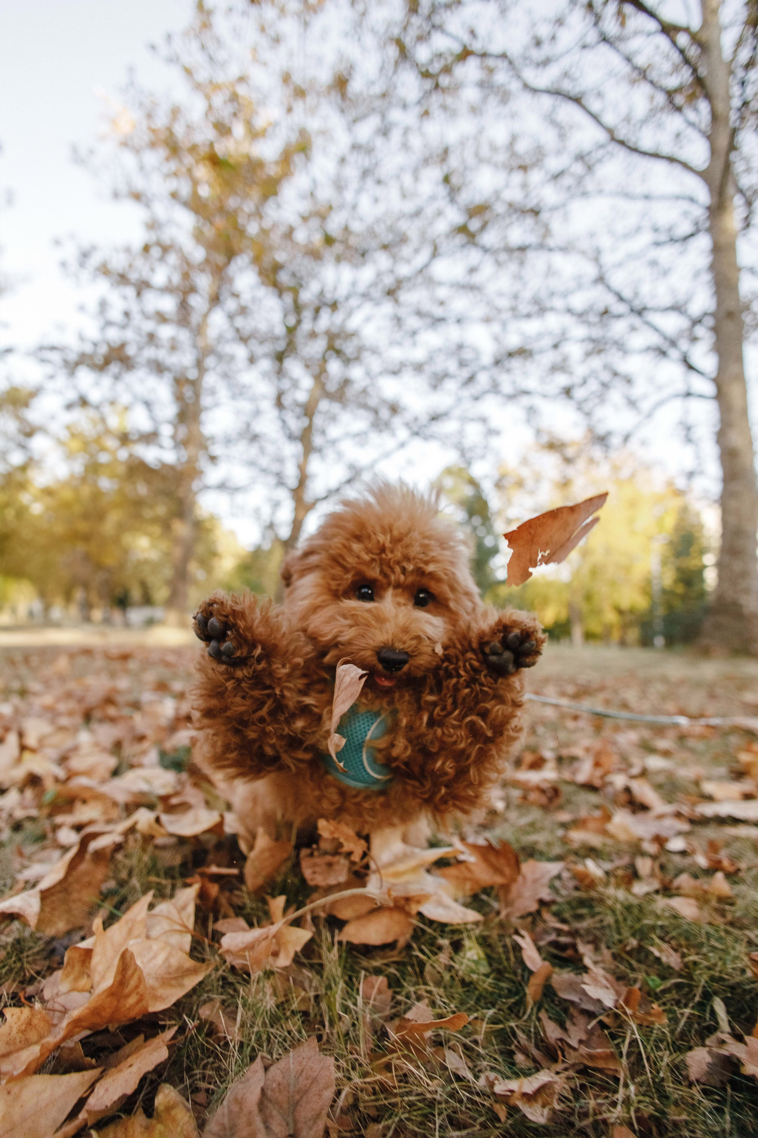 Аня, Рома, Маша. Фотограф Андрей Баксов