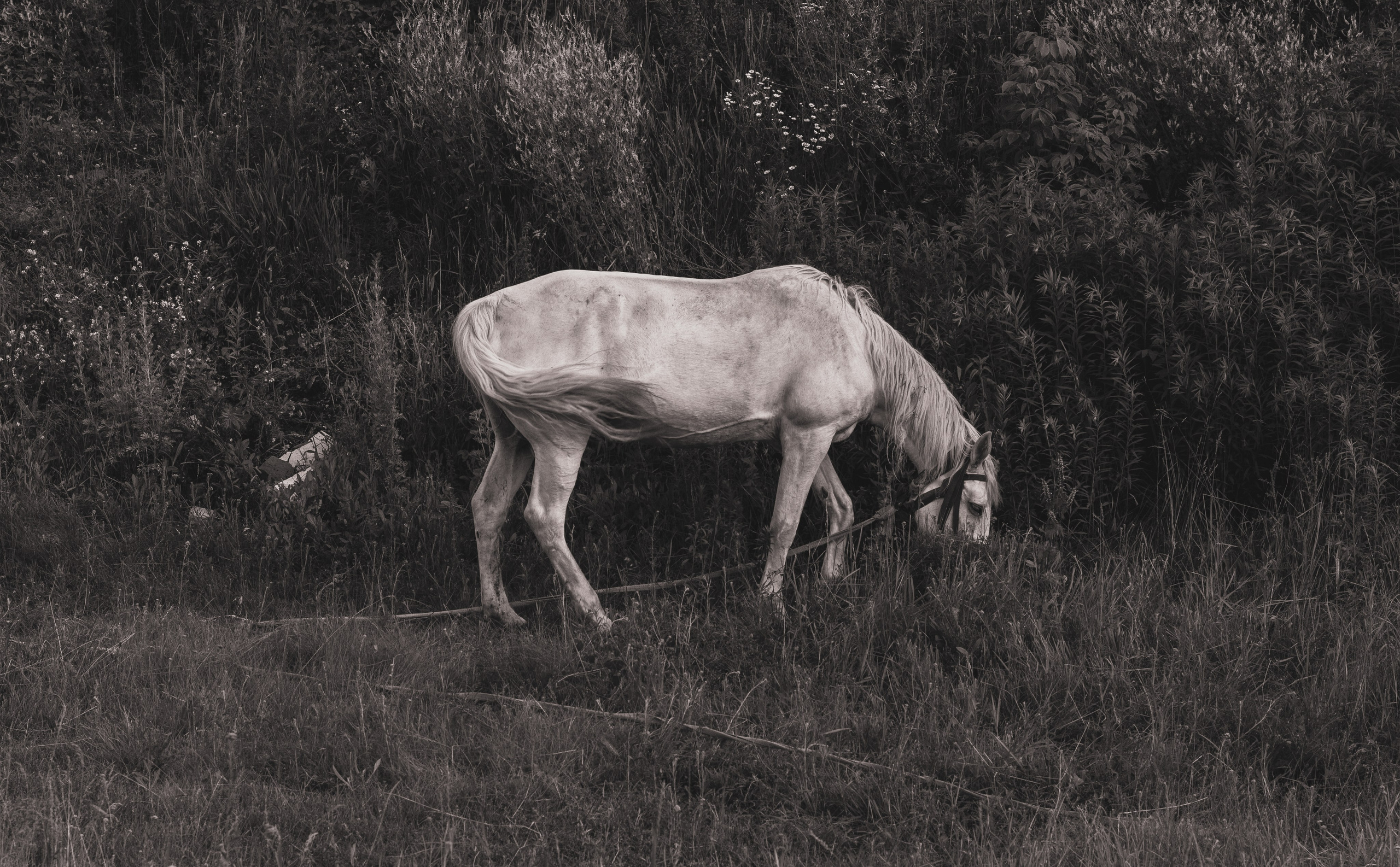 Уличная съемка — Владислава. Портретный фотограф в Орле. Готовые фото за 3 дня! Помощь в позировании. Советы по организации