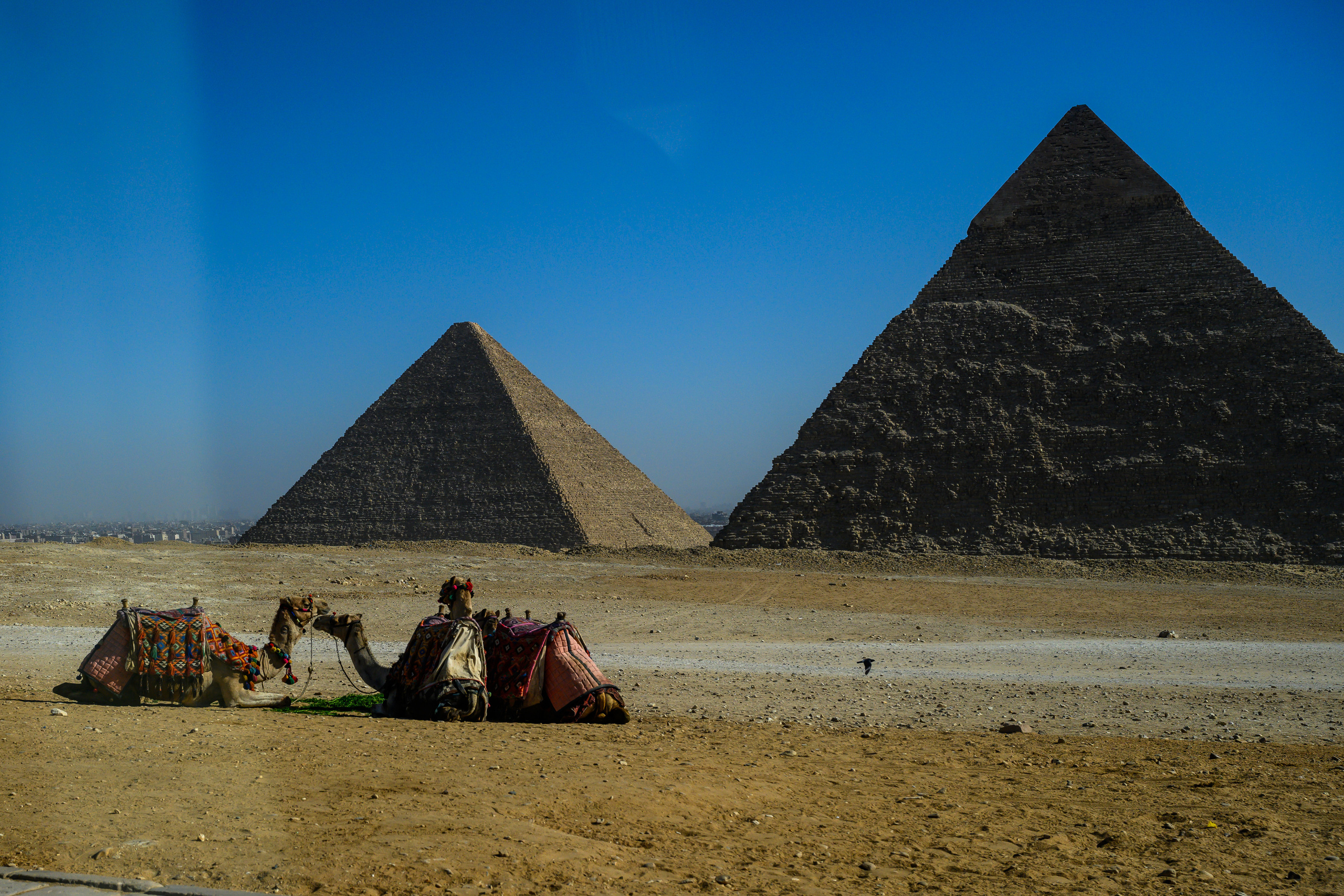 Dimitri Bakhtadze, Cairo. Dimitri Bakhtadze photographer