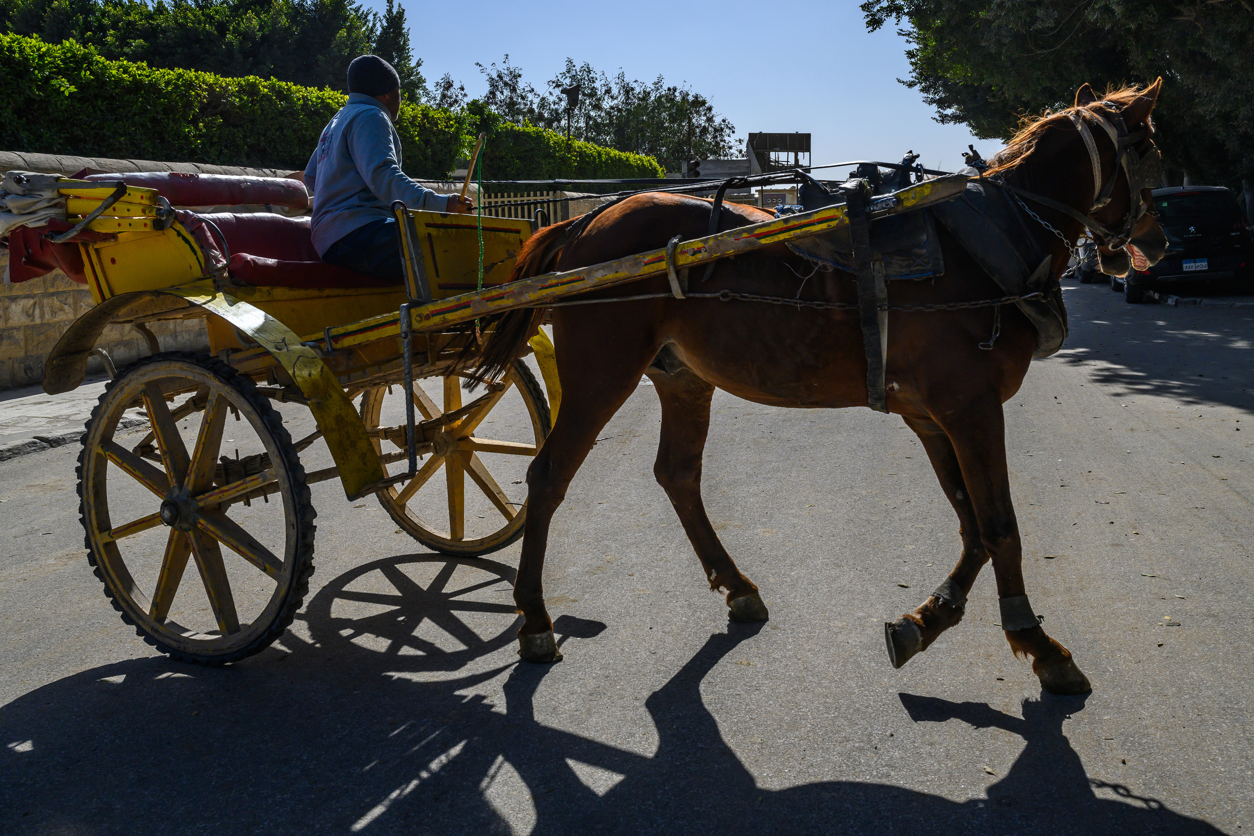 Dimitri Bakhtadze, Cairo. Dimitri Bakhtadze photographer
