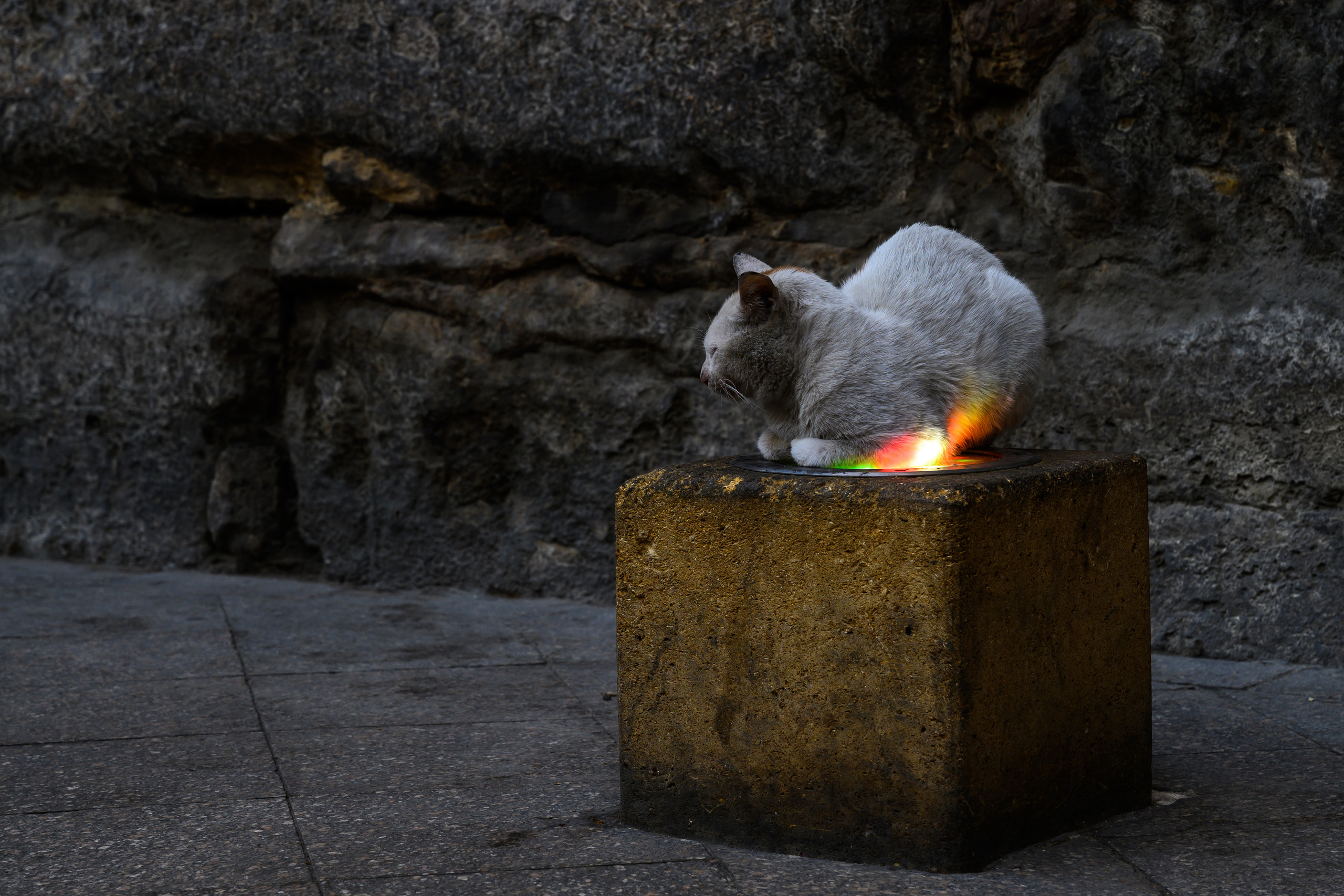 Dimitri Bakhtadze, Cairo. Dimitri Bakhtadze photographer