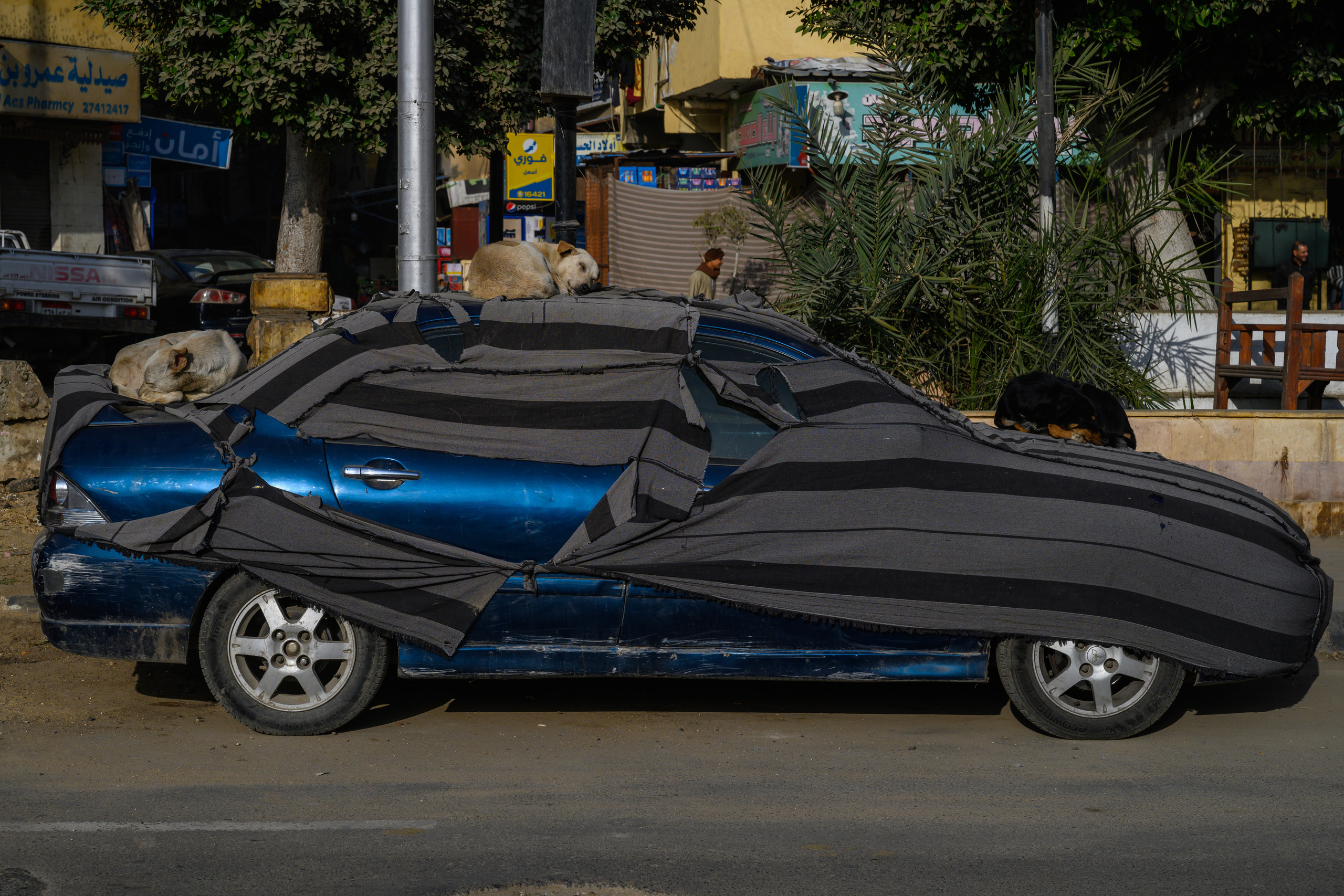 Dimitri Bakhtadze, Cairo. Dimitri Bakhtadze photographer