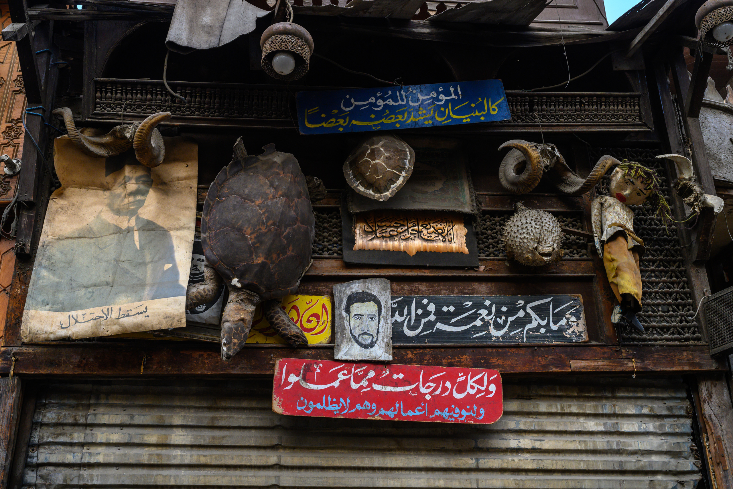 Dimitri Bakhtadze, Cairo. Dimitri Bakhtadze photographer
