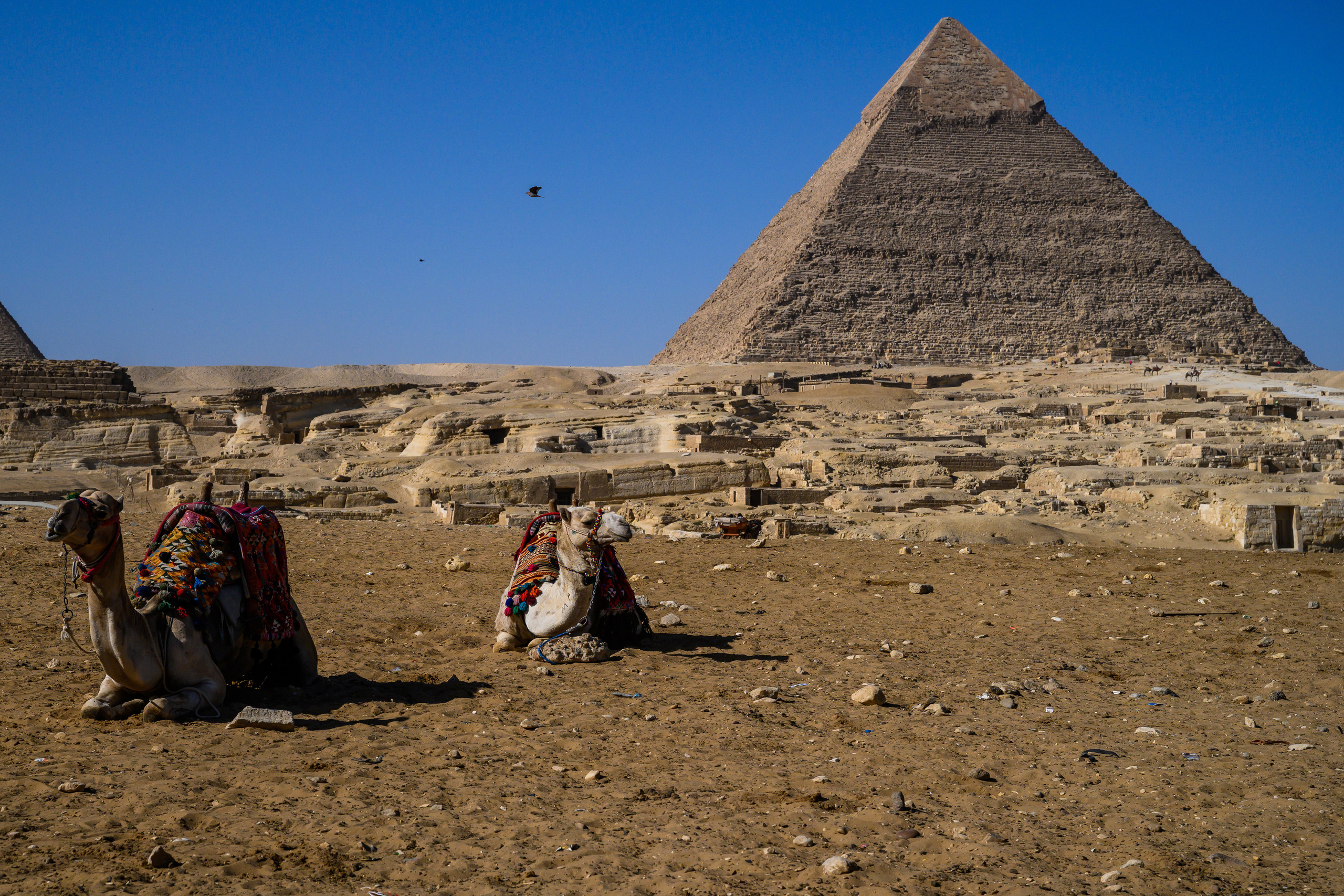 Dimitri Bakhtadze, Cairo. Dimitri Bakhtadze photographer
