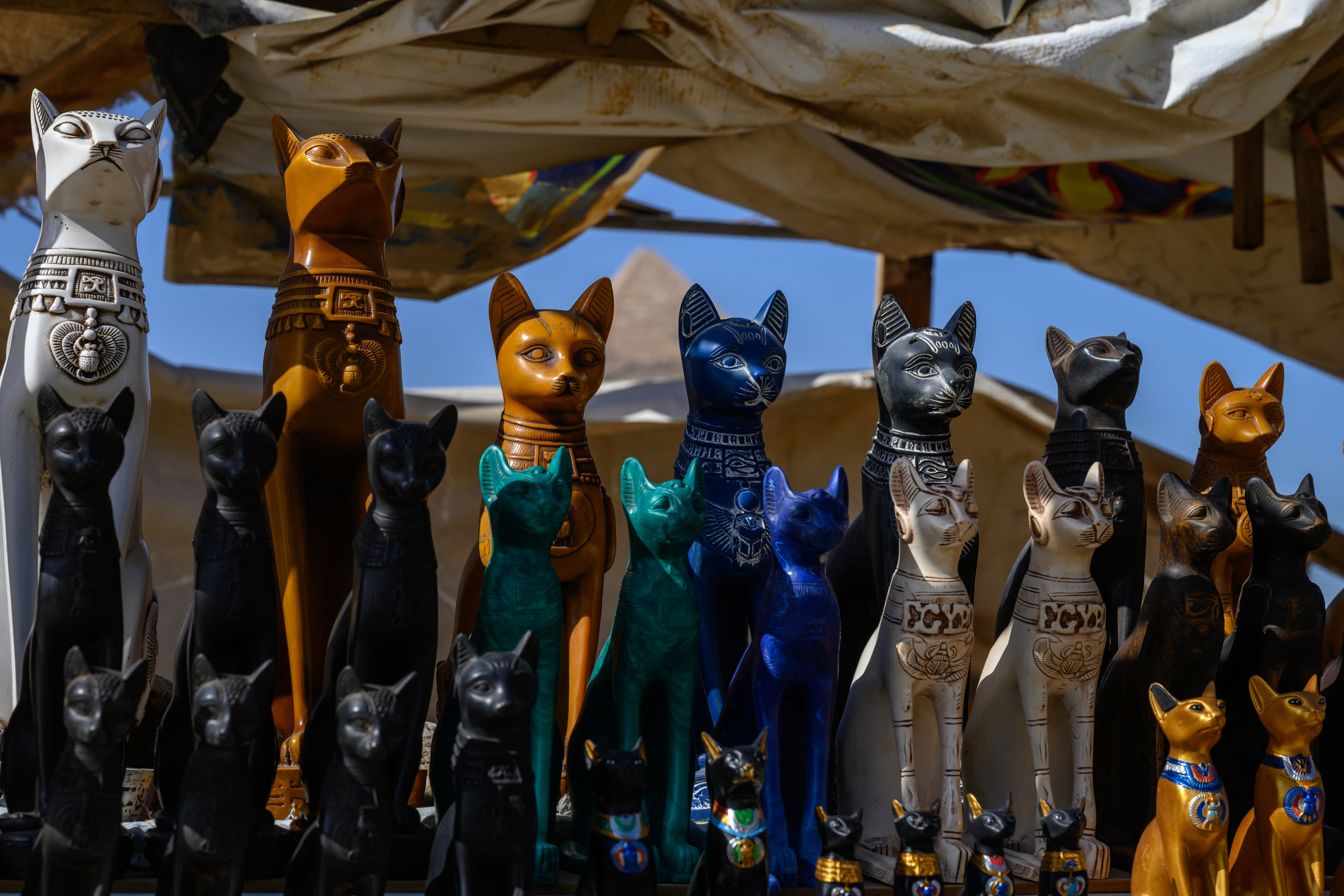 Dimitri Bakhtadze, Cairo. Dimitri Bakhtadze photographer