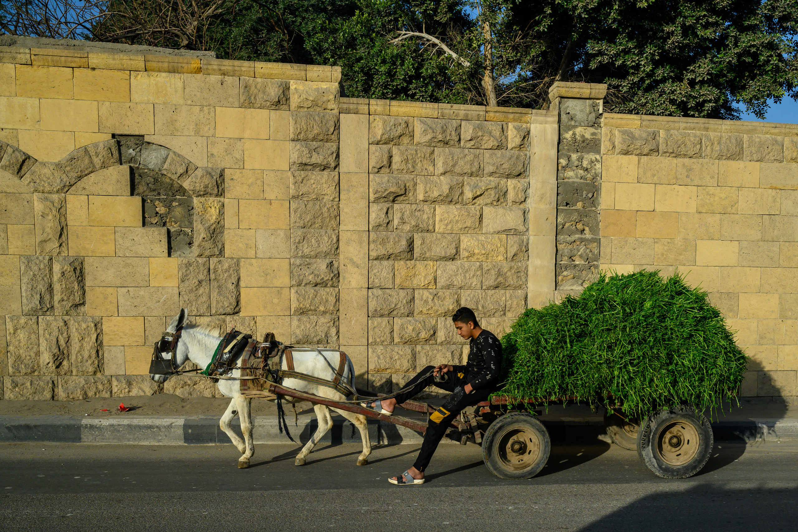Dimitri Bakhtadze, Cairo. Dimitri Bakhtadze photographer