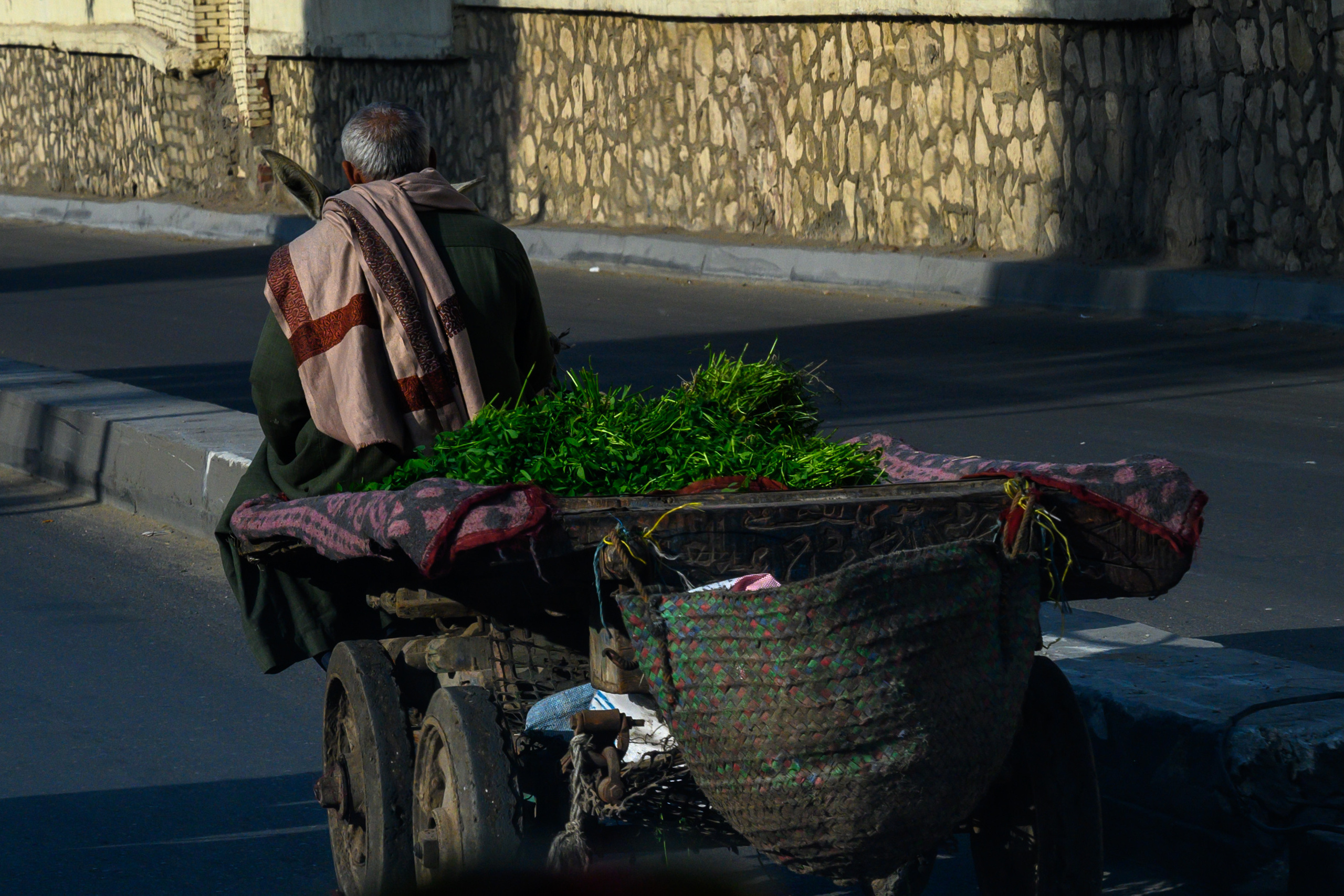 Dimitri Bakhtadze, Cairo. Dimitri Bakhtadze photographer