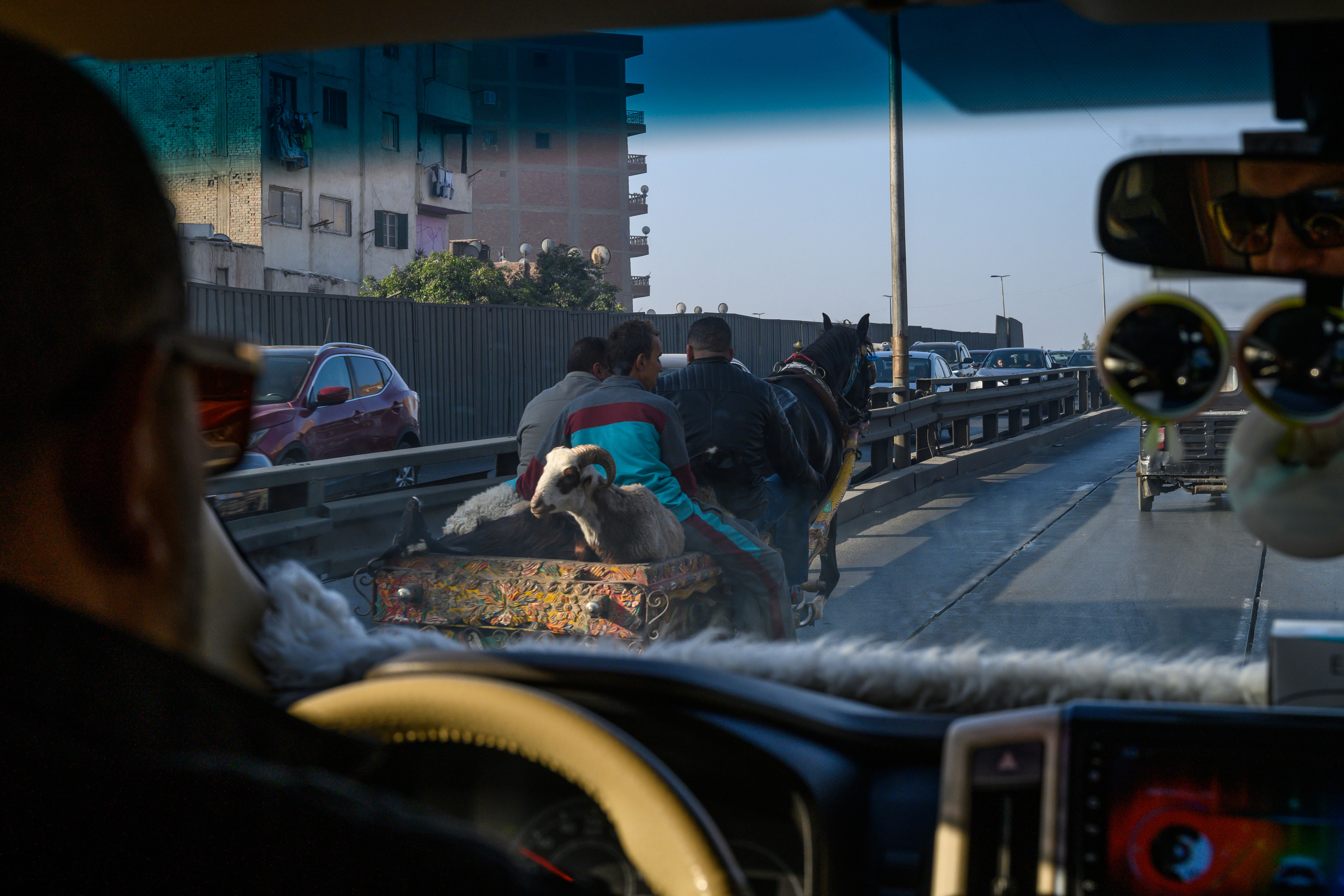 Dimitri Bakhtadze, Cairo. Dimitri Bakhtadze photographer