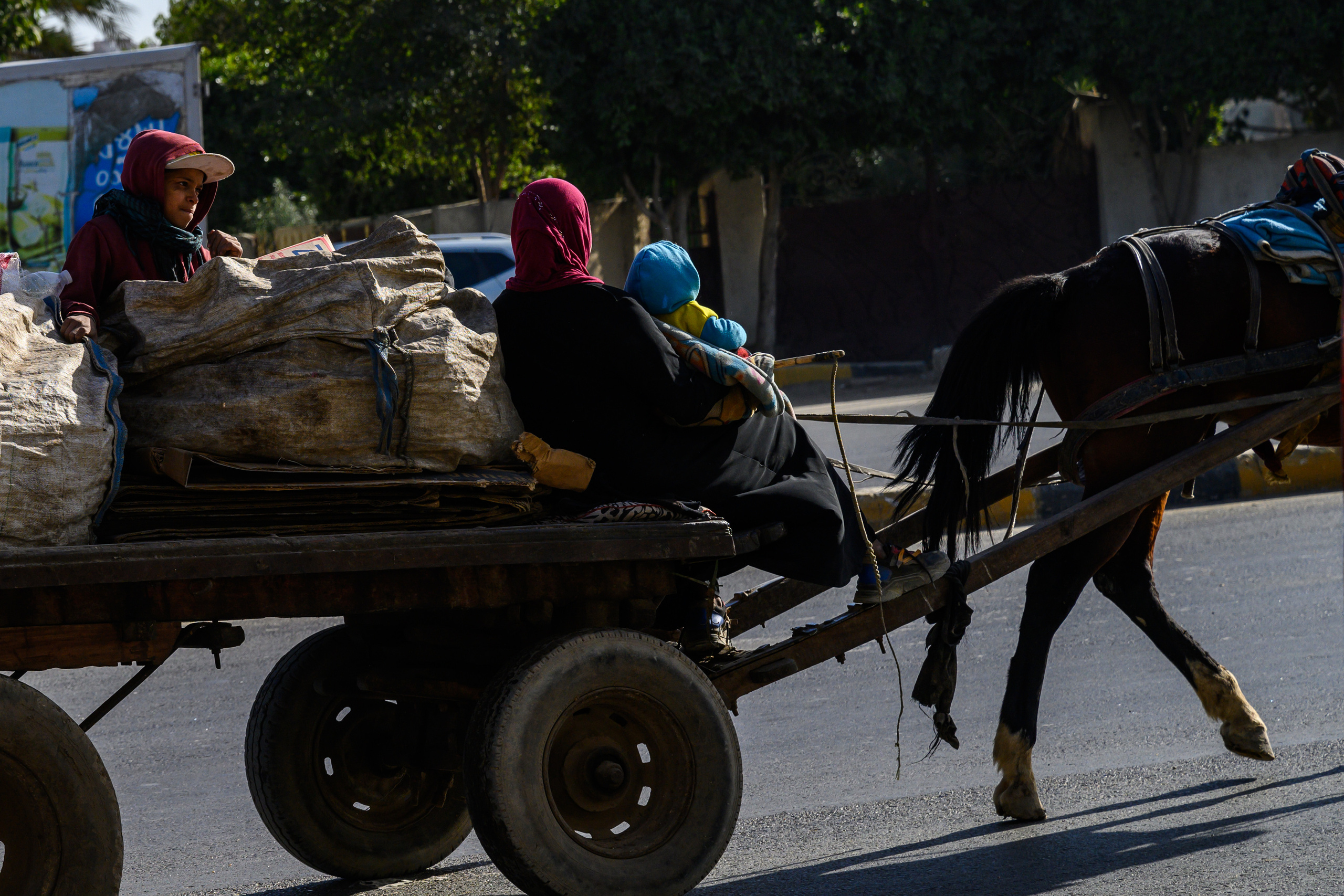 Dimitri Bakhtadze, Cairo. Dimitri Bakhtadze photographer