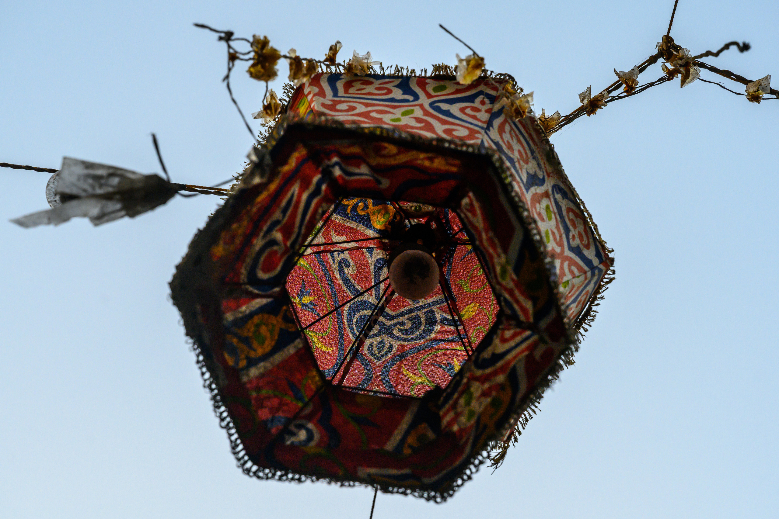 Dimitri Bakhtadze, Cairo. Dimitri Bakhtadze photographer